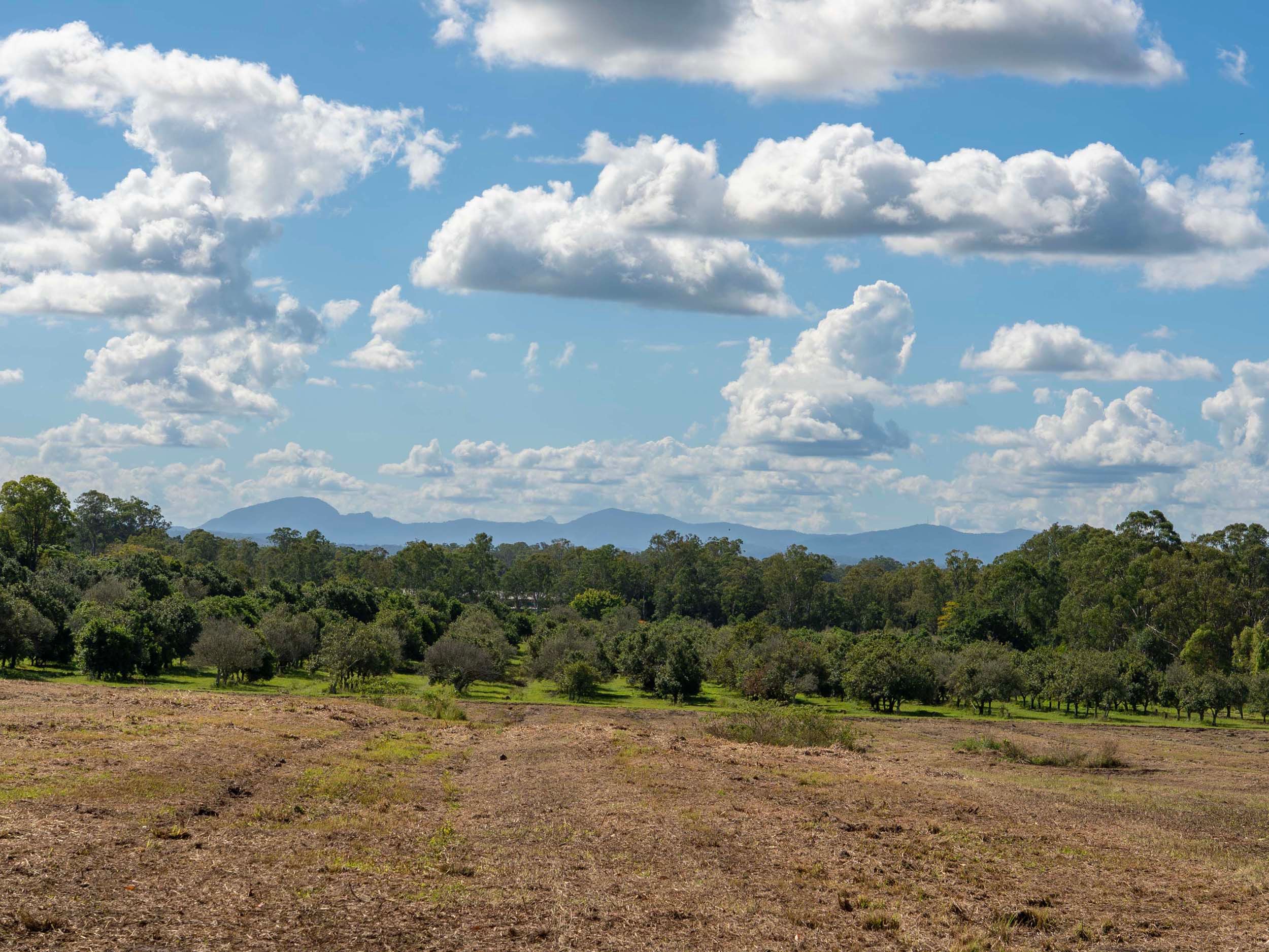 284 Fredericks Road, Caniaba, NSW 2480