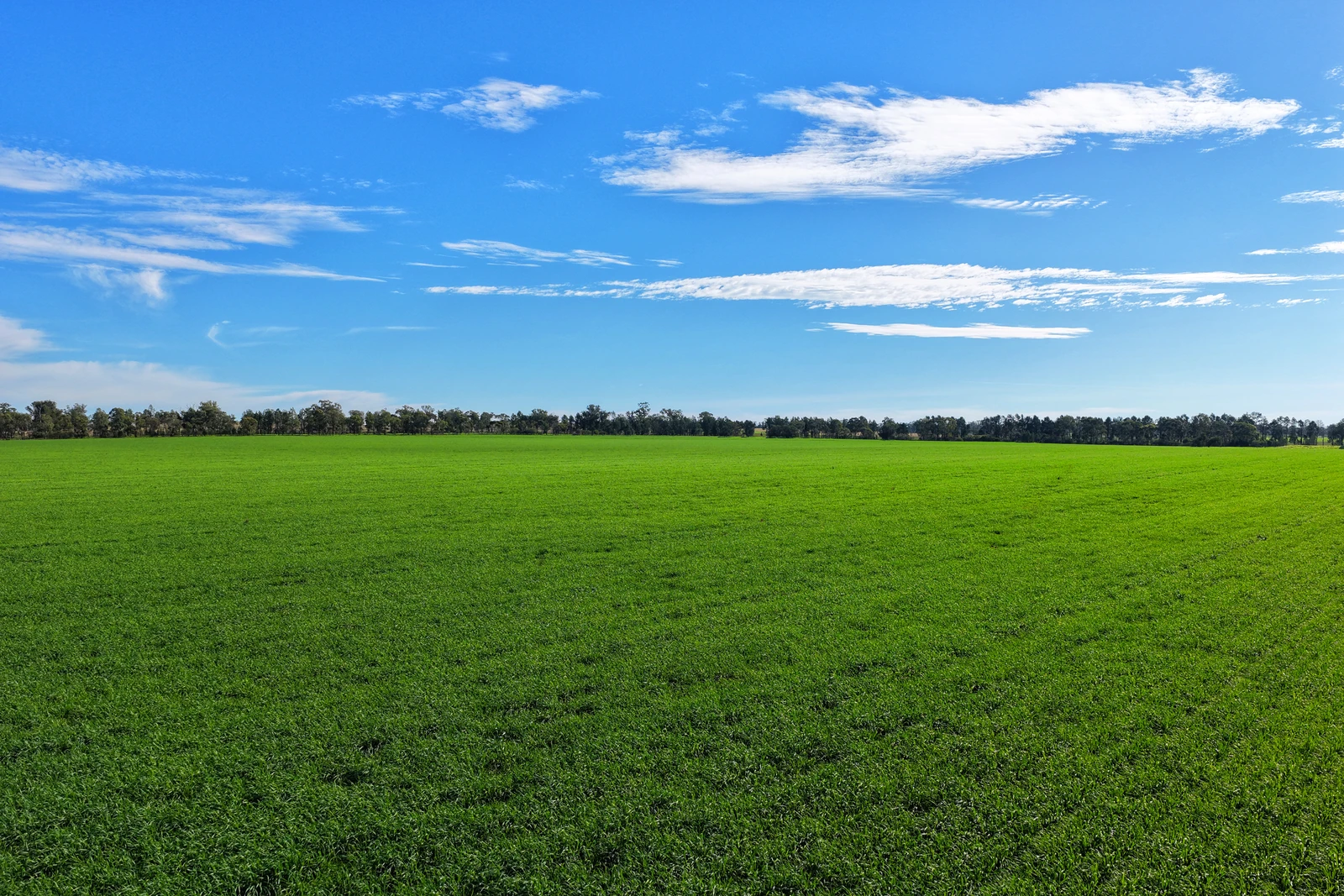 2643 Back Trundle Road, Parkes, NSW 2870