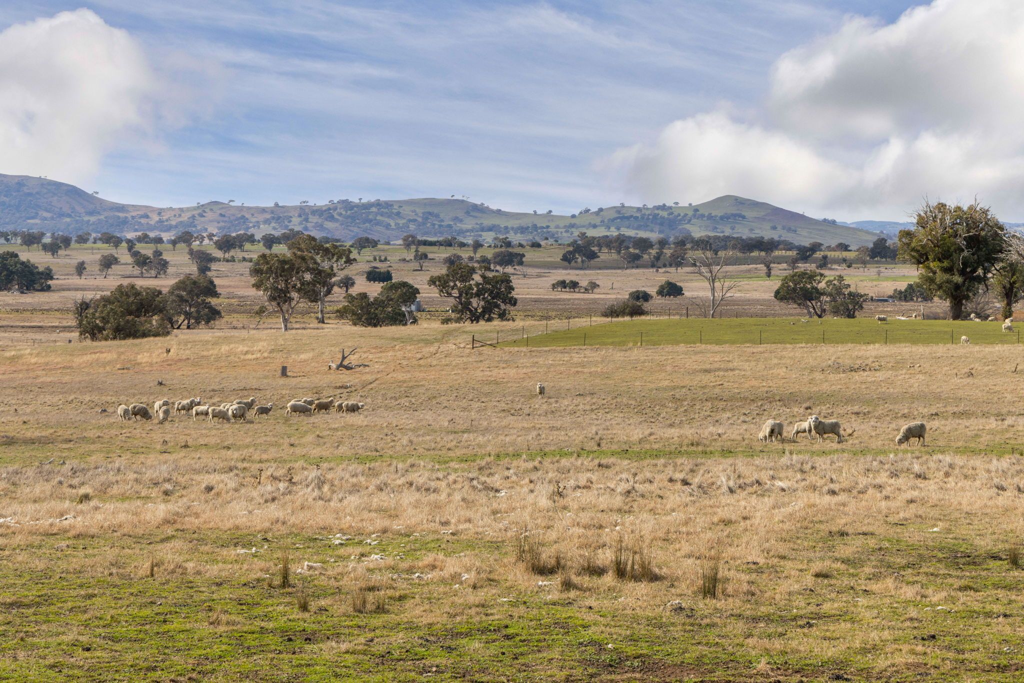 'Spring Valley' 38 Carey Lane, Bowning, NSW 2582