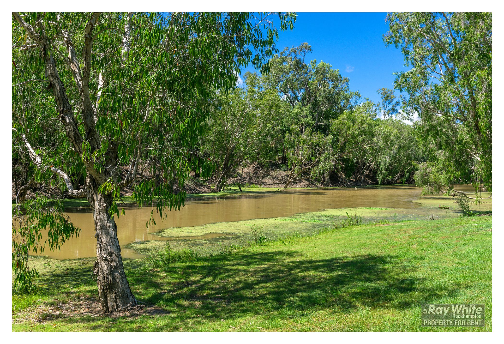 7/190 Lion Creek Road, Wandal, QLD 4700