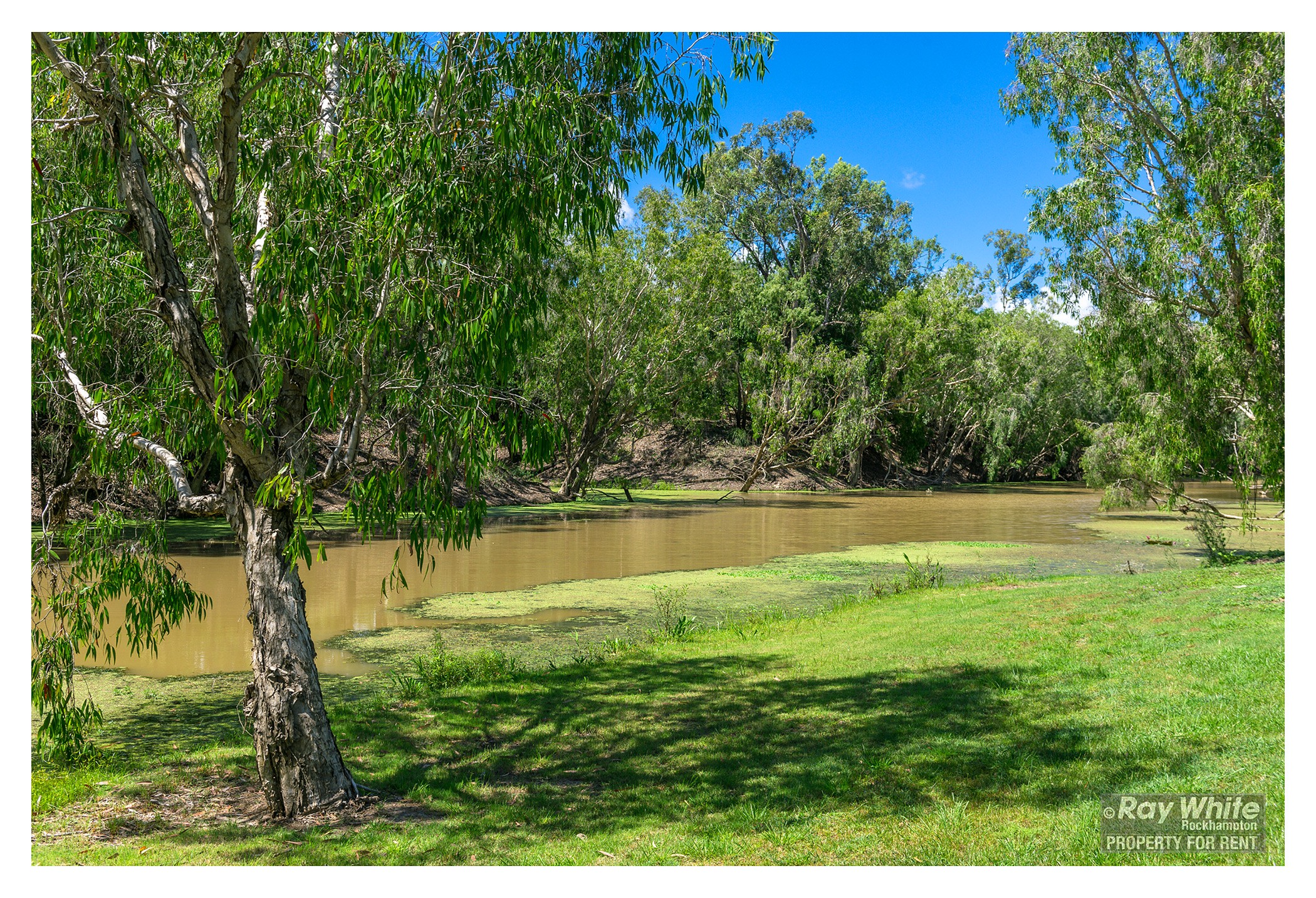 7/190 Lion Creek Road, Wandal, QLD 4700