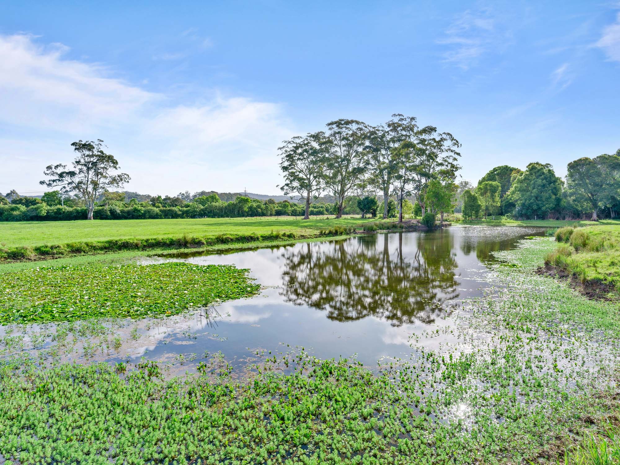 115 McPherson Road, Mardi, NSW 2259