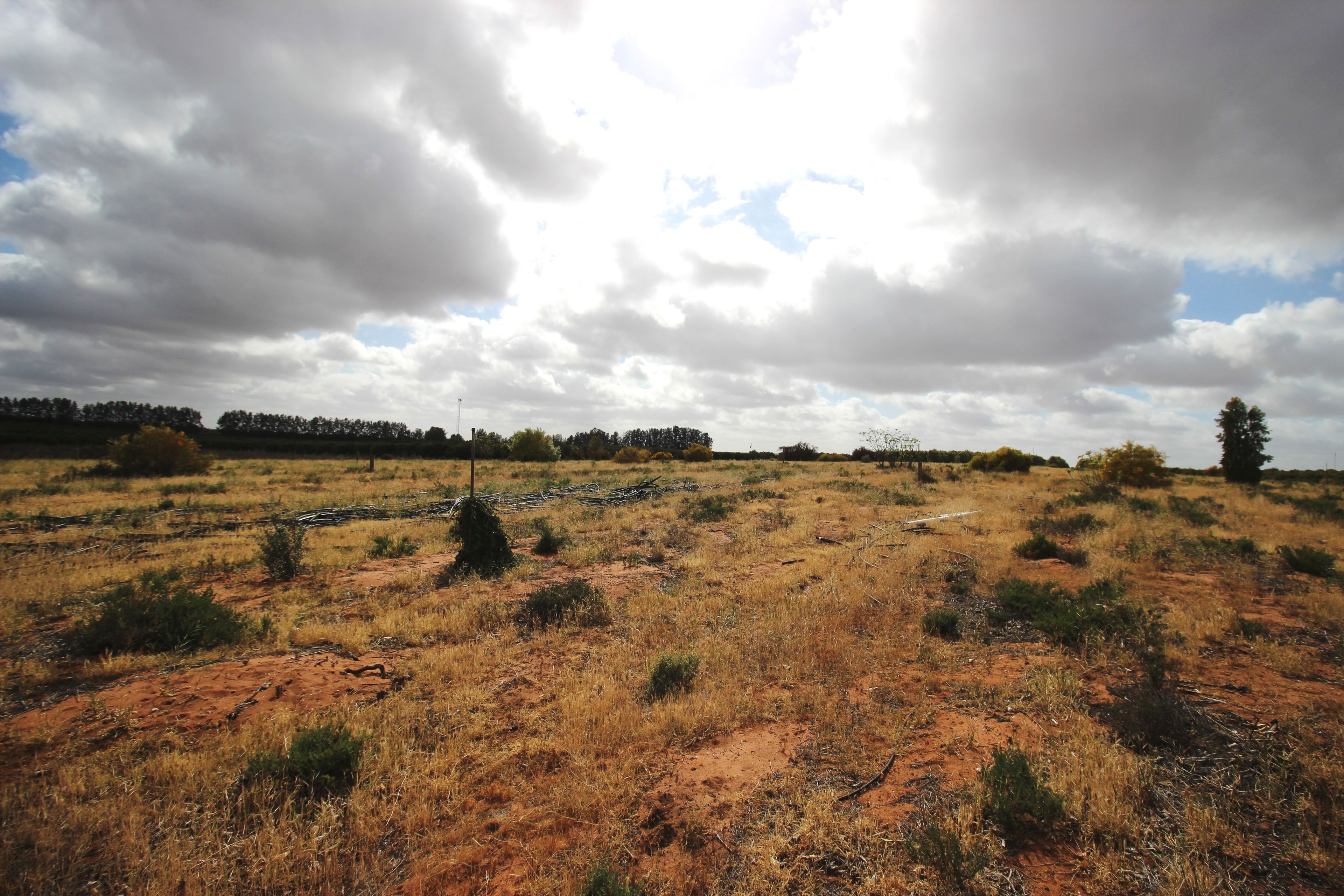 Lot 231 Thompson Road, Sunlands, SA 5322