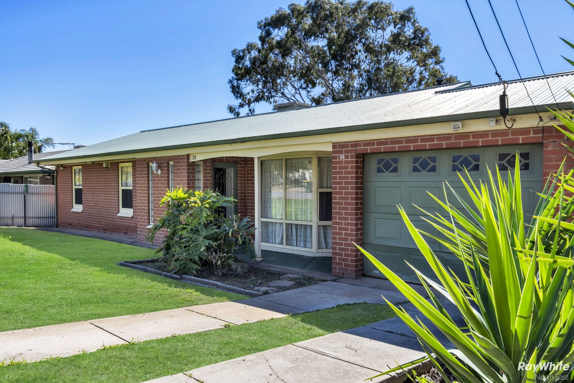 12 Mannum Street, Vista SA 5091