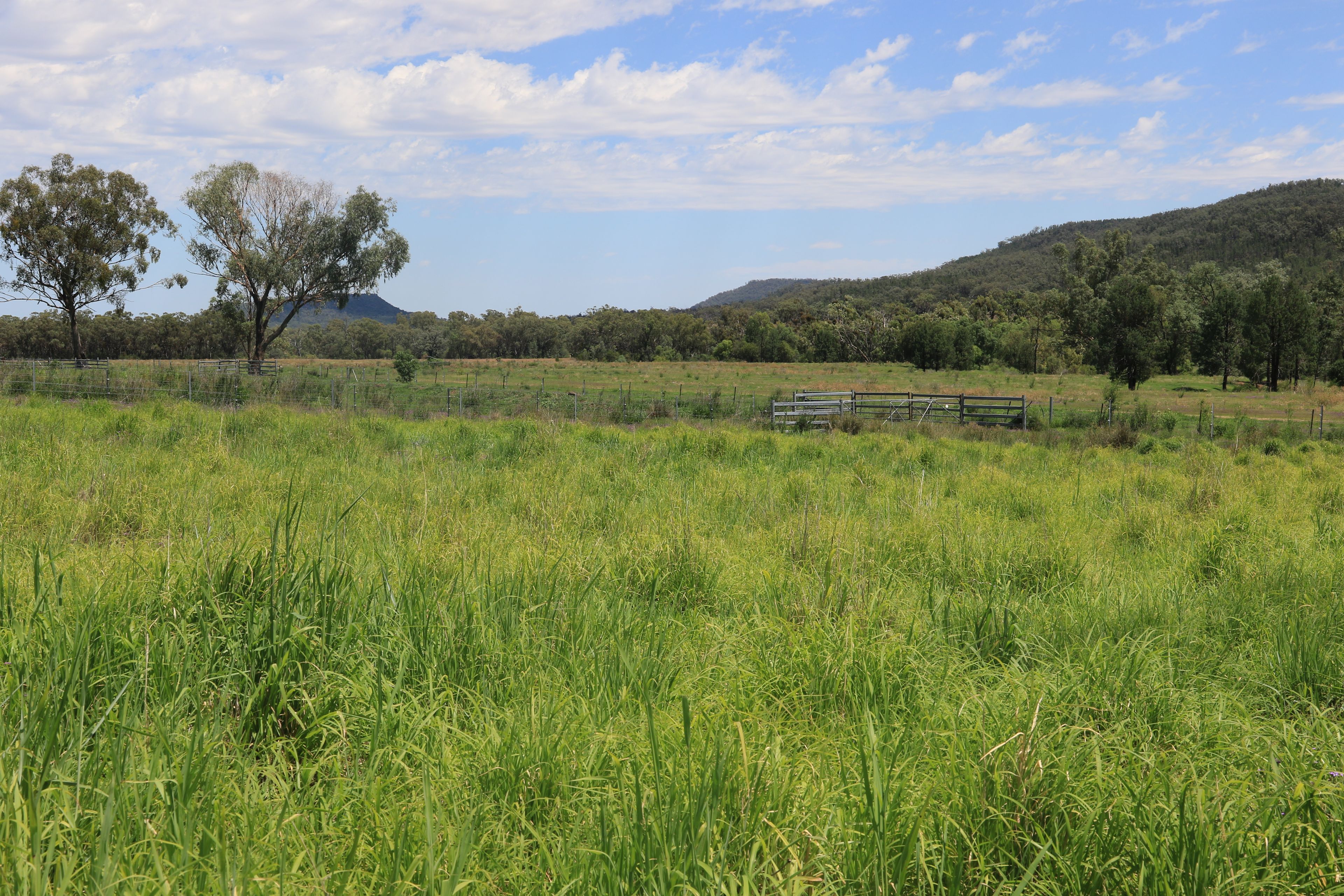 2222 Spooners Gap Road, Bellata, NSW 2397 Rural Property for Sale