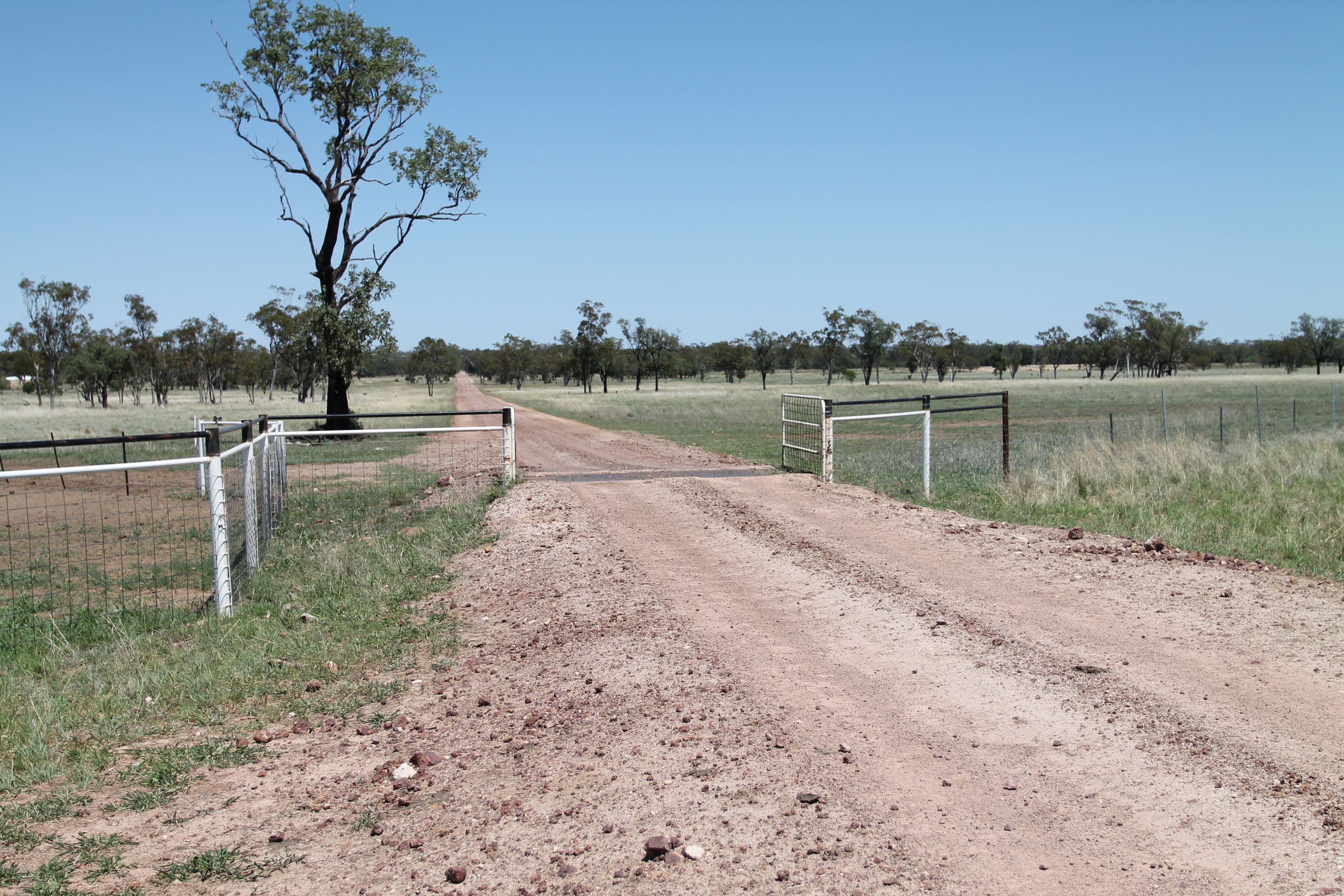 Rural Mixed Farming Property Surat, QLD