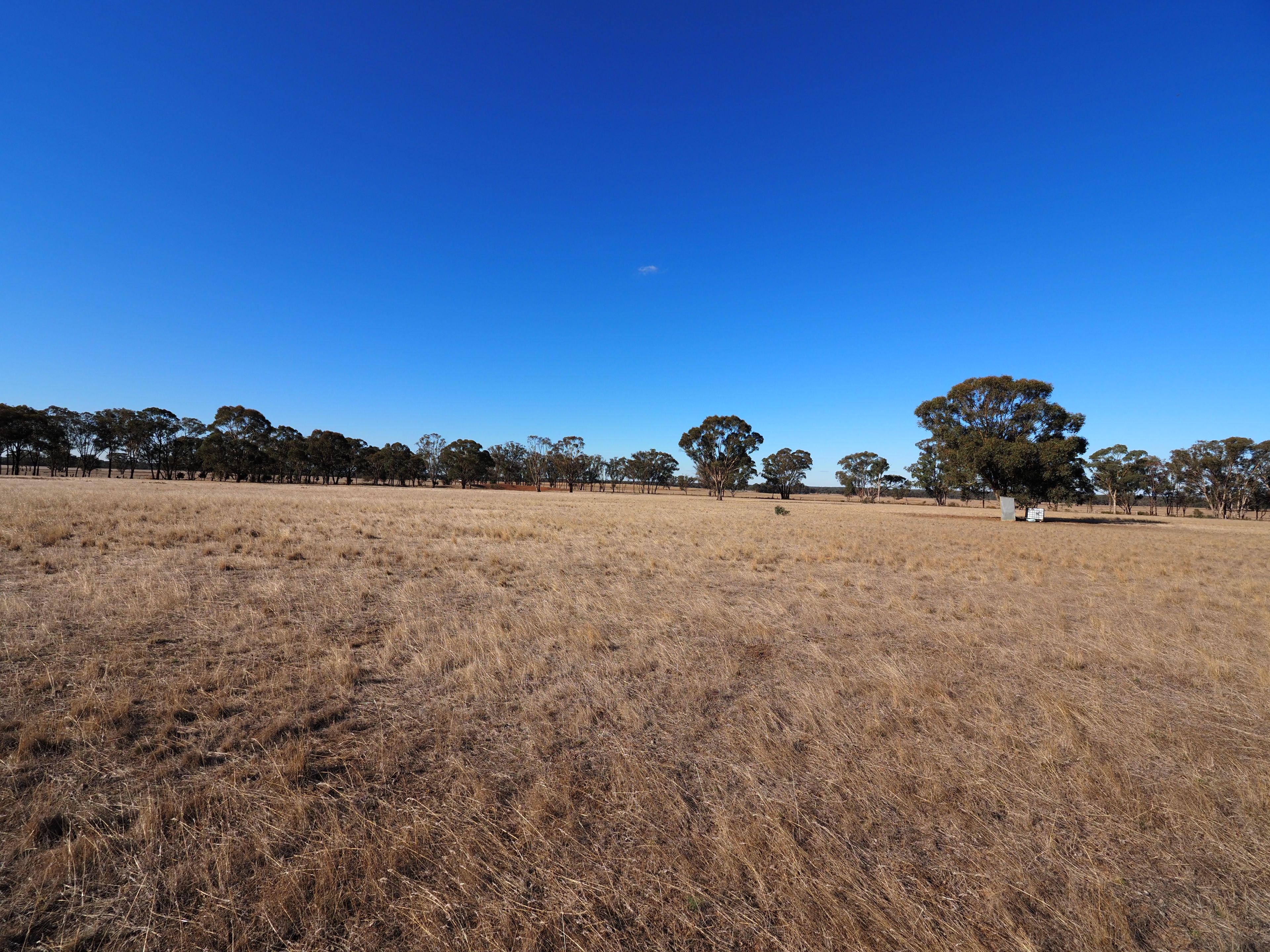 74 Deadhorse Lane, Bowenvale, VIC 3465