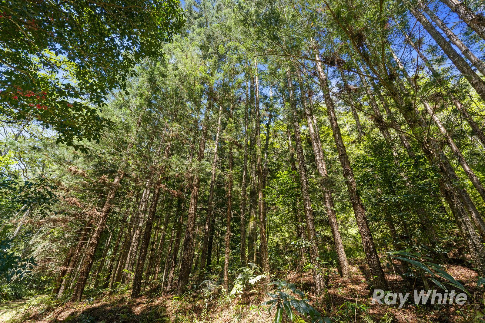 131 Porters Road — photo 10 of 13