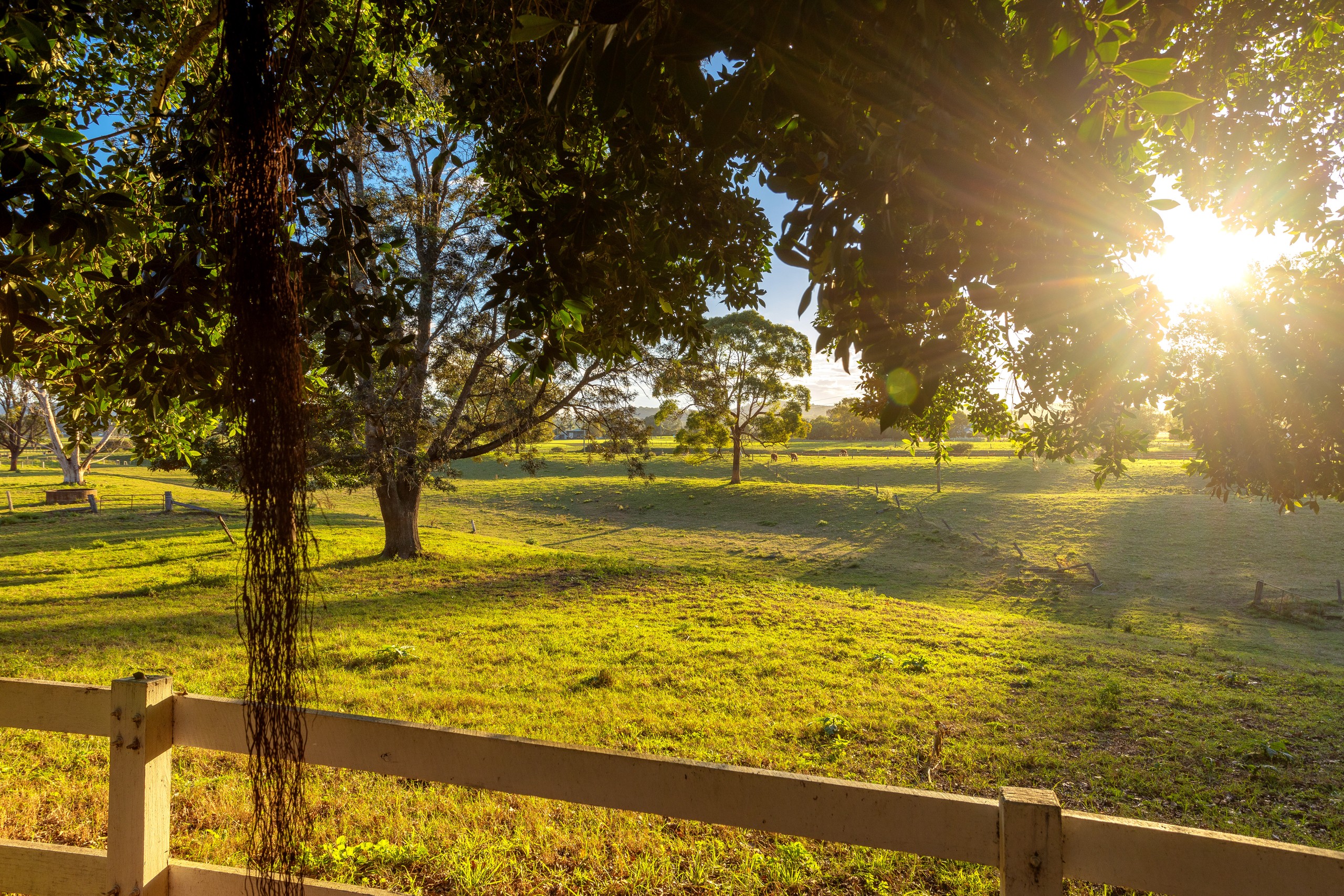 16 Hayes Lane, Taree, NSW 2430