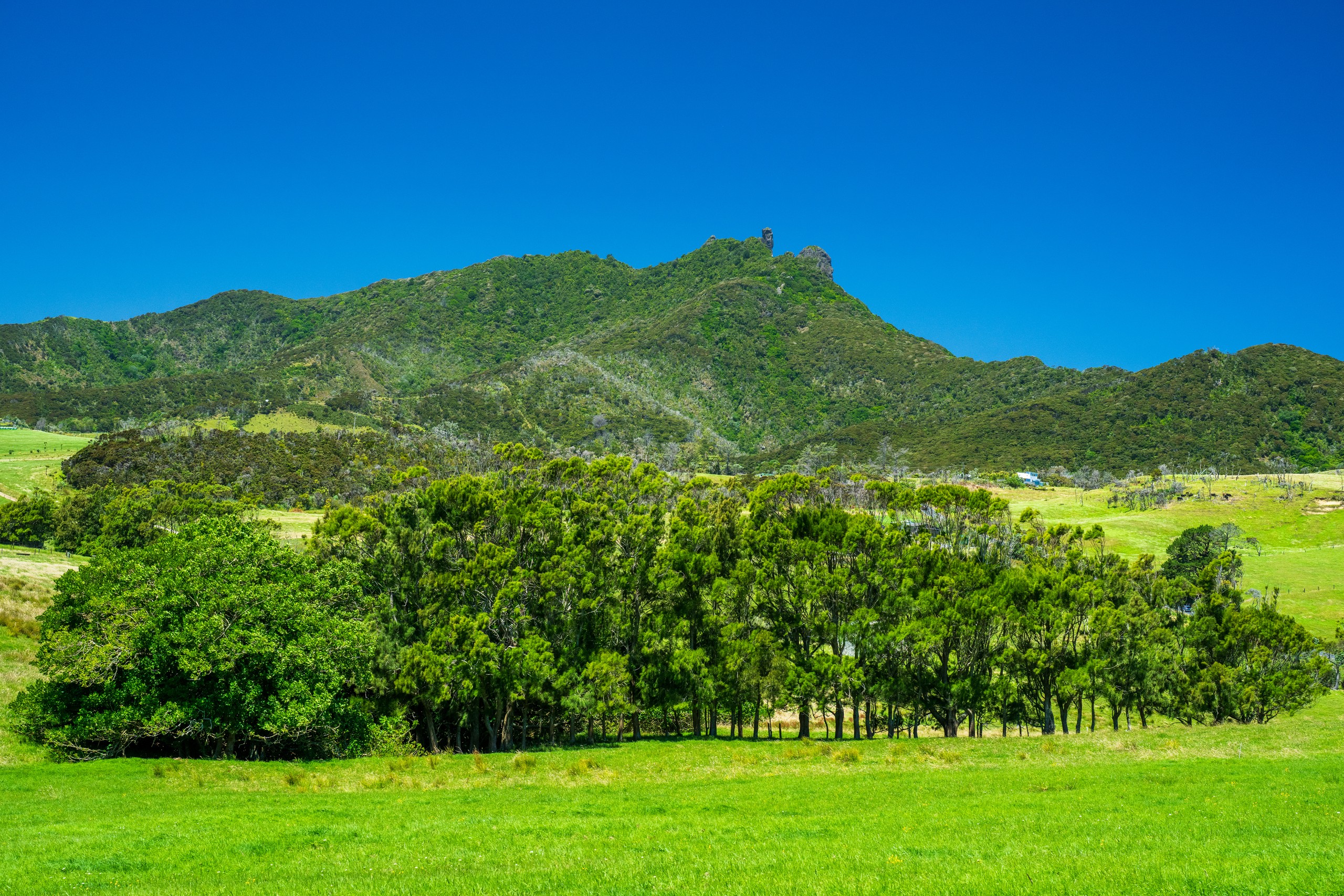 Lot 1 Basil Road, Whangarei Heads, Whangarei District