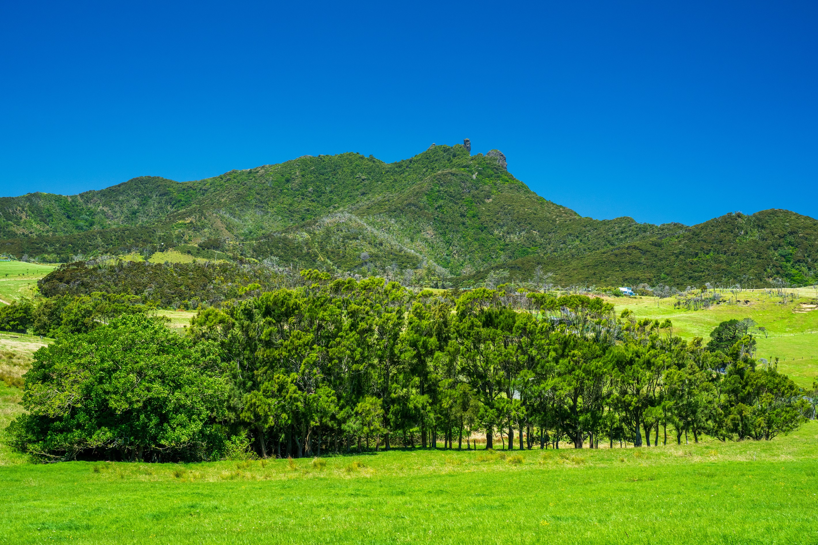 Lot 1 Basil Road, Whangarei Heads, Whangarei District