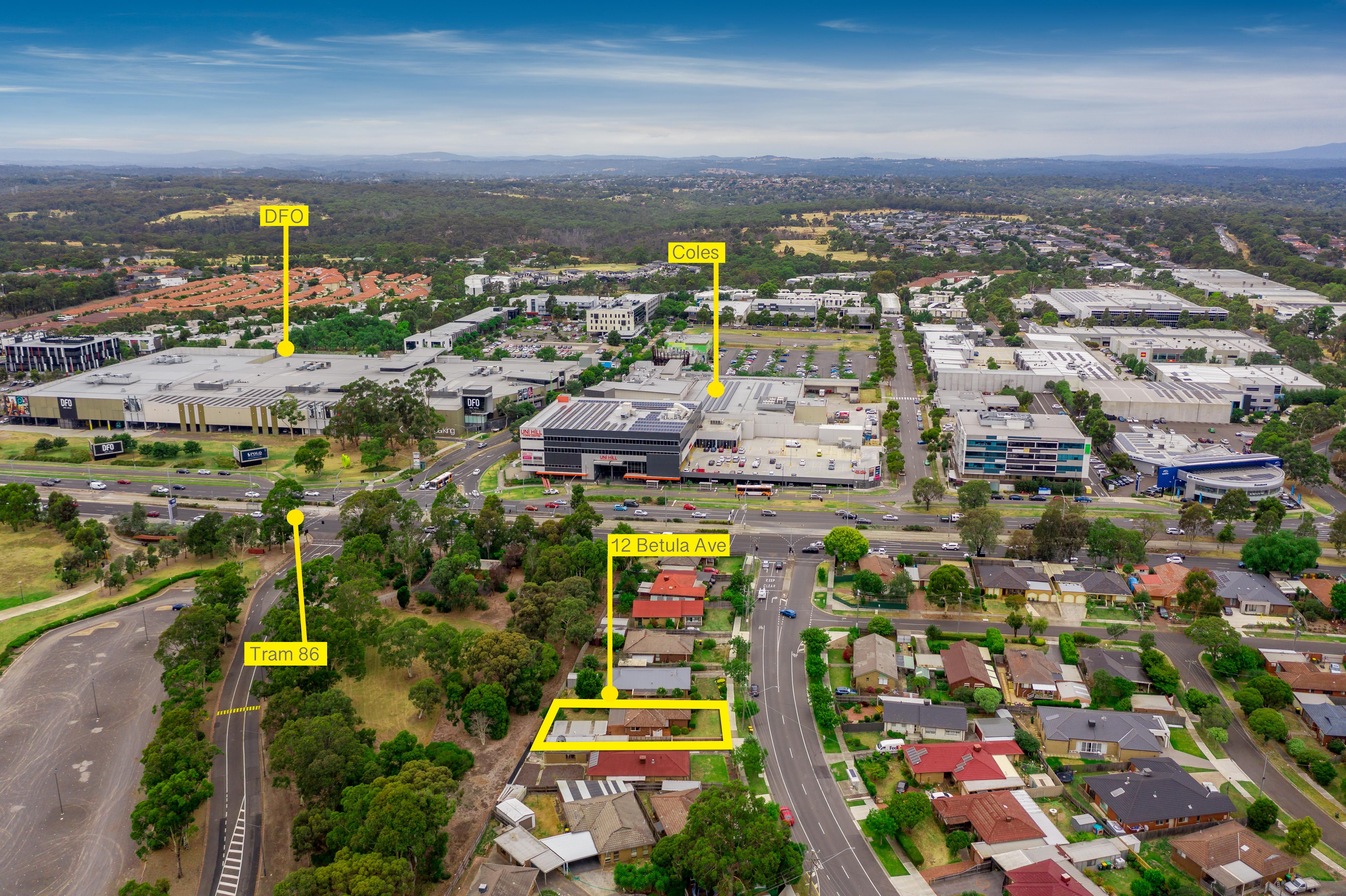 12 Betula Avenue, Bundoora, VIC 3083
