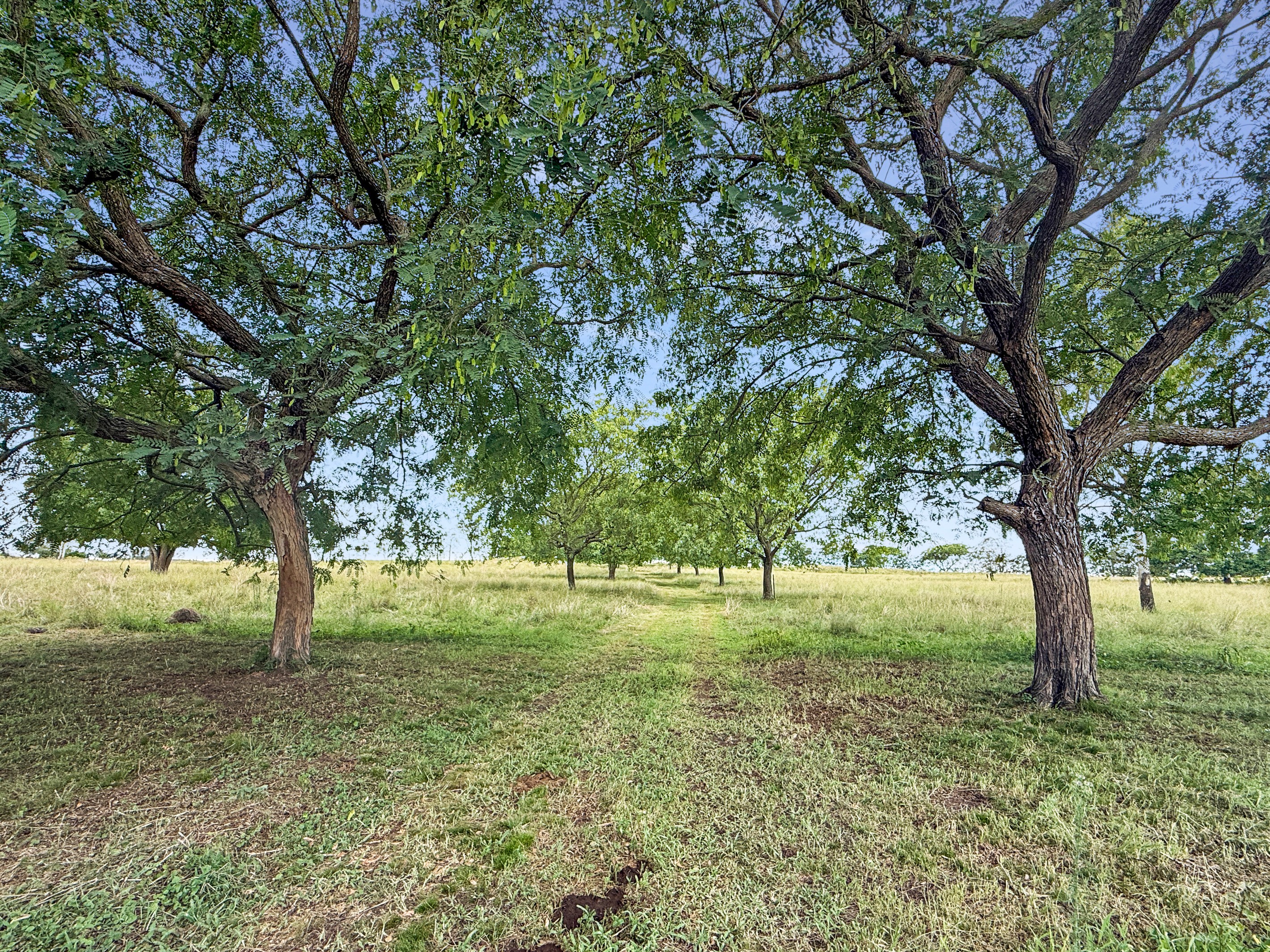 38 Nestle Lane, Toogoolawah, QLD 4313