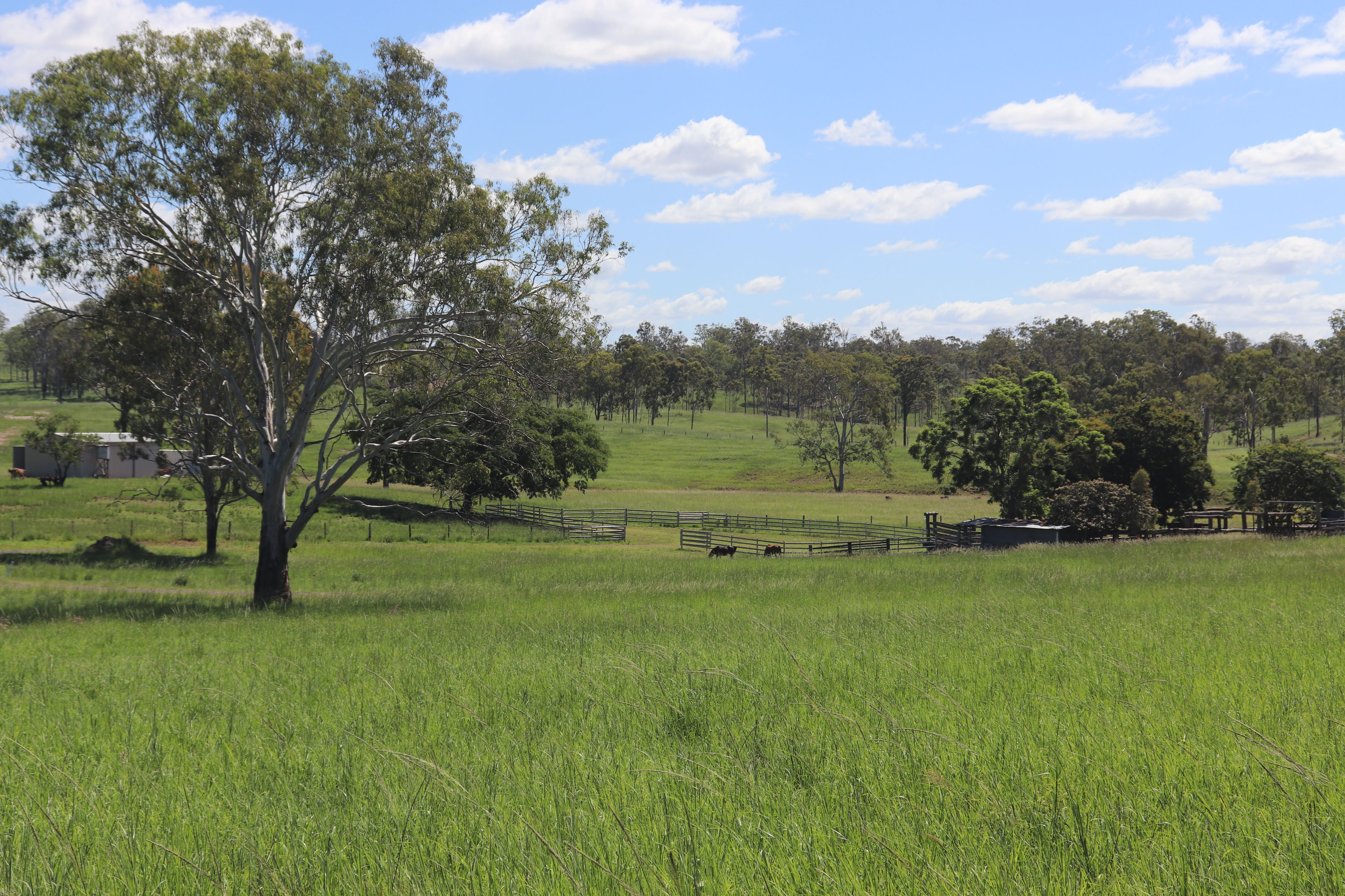 150 Tablelands Road, Gin Gin, QLD 4671 Rural Livestock Property for