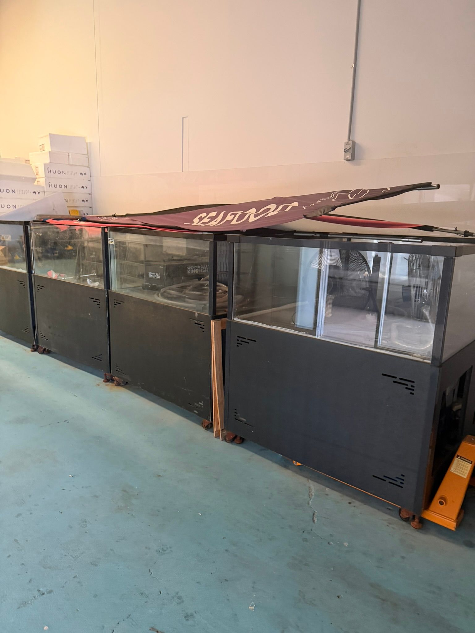 19 Nelson Street, Stepney, SA