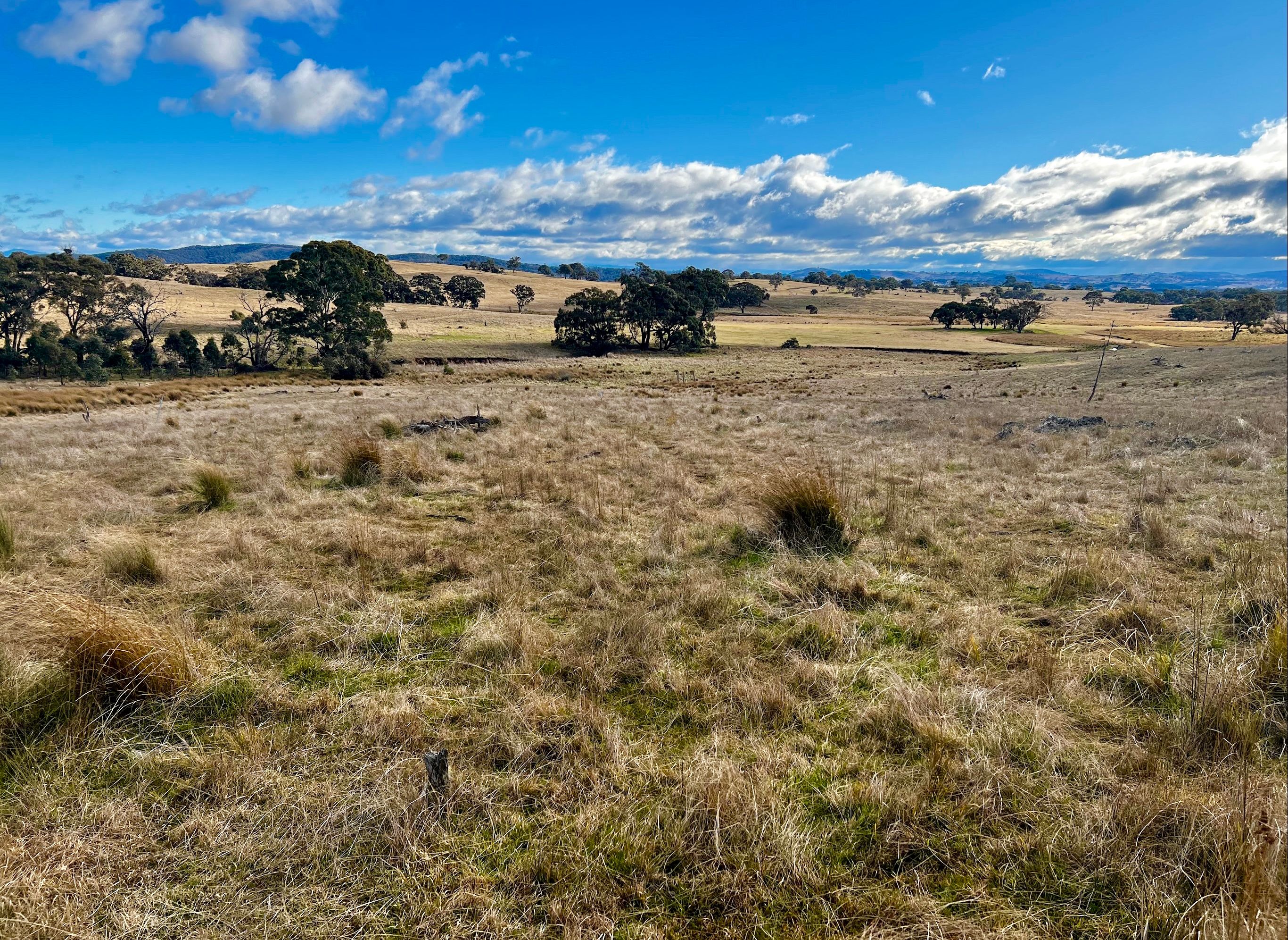 Lot 4 Newington Road, Bywong, NSW 2621