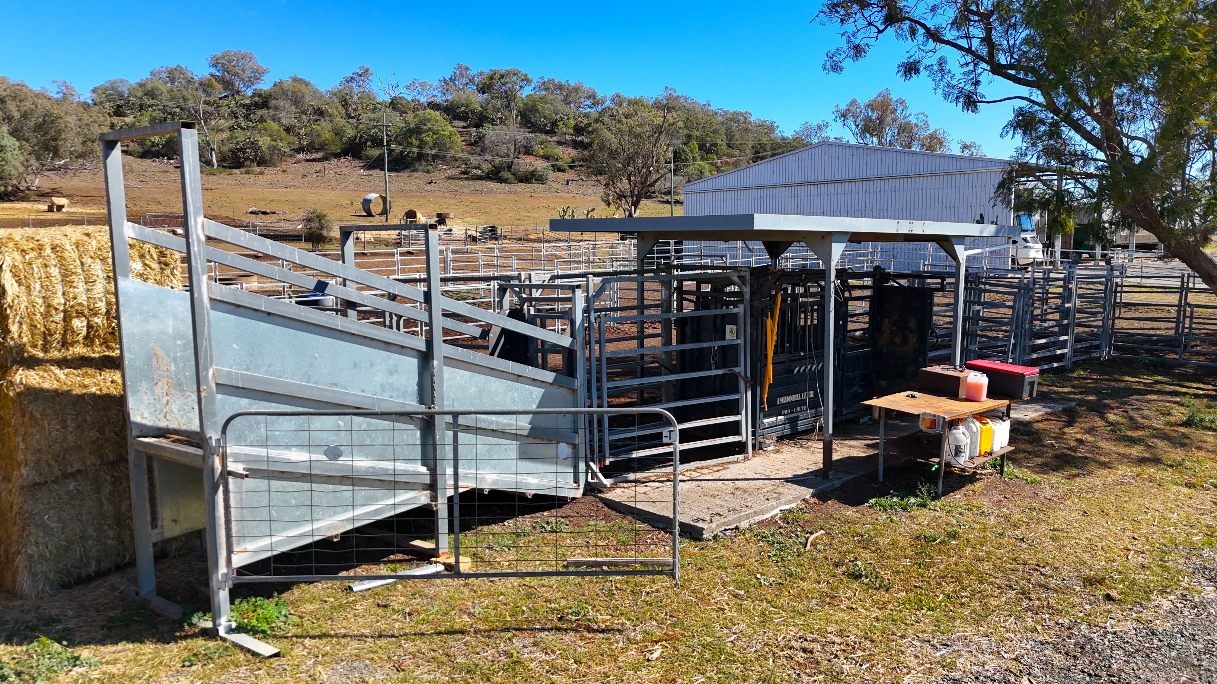 "Mountain Glen" Oakey Pittsworth Road — photo 19 of 30