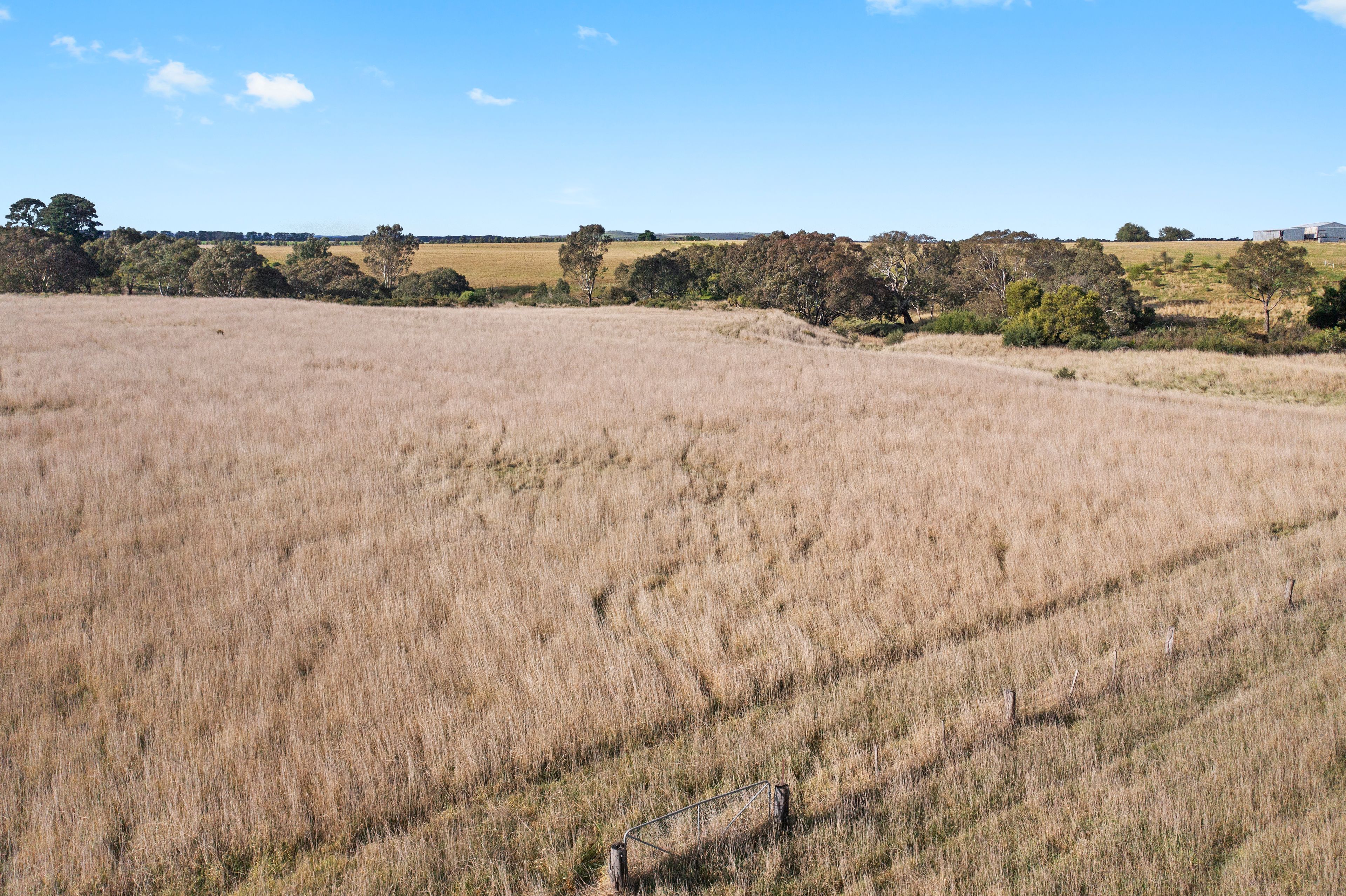 135 Rawson Road, Inverleigh, VIC 3321