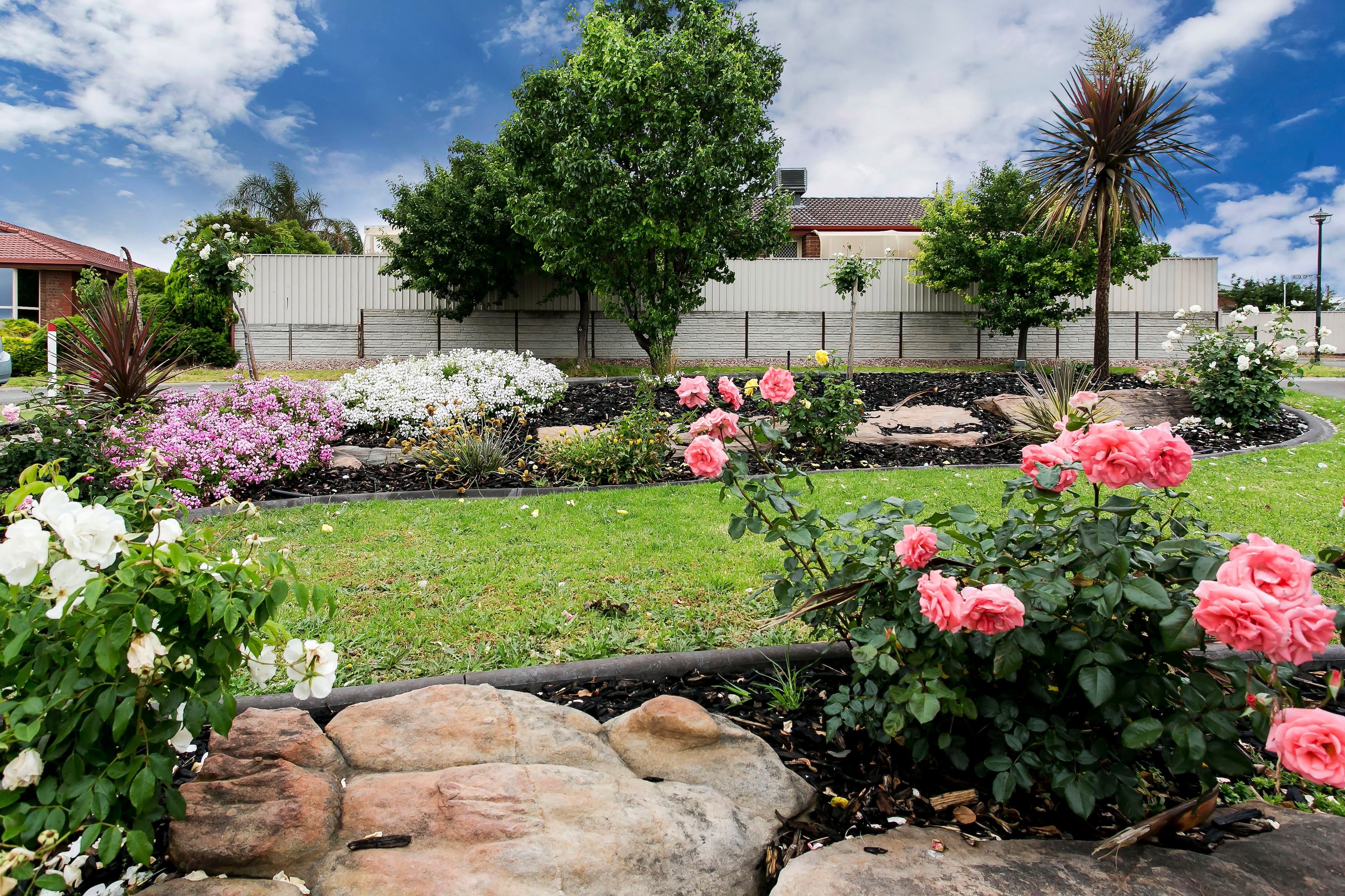51 Alia Drive, Sheidow Park, SA 5158