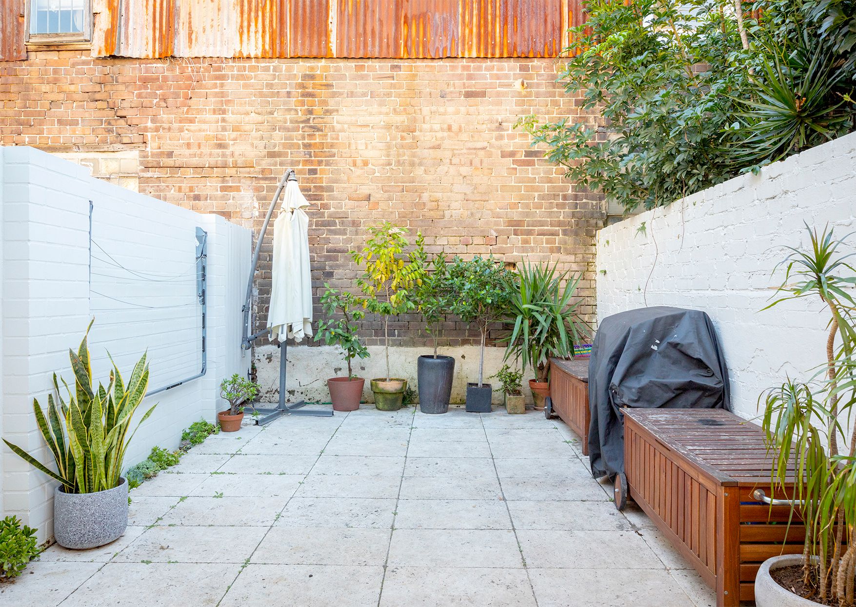 43 Ivy Street, Darlington, NSW 2008