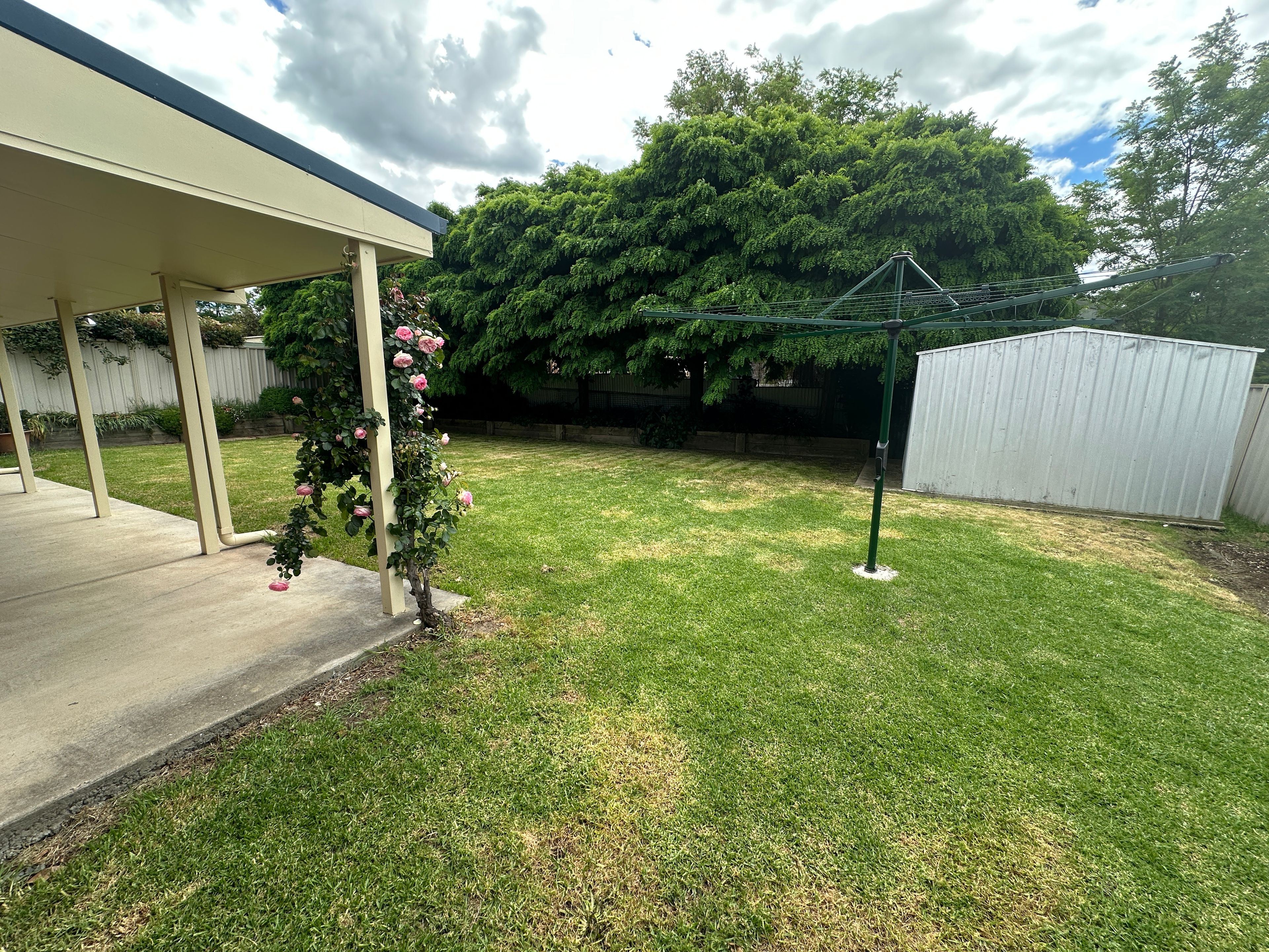 87 Sydney Street — photo 14 of 16