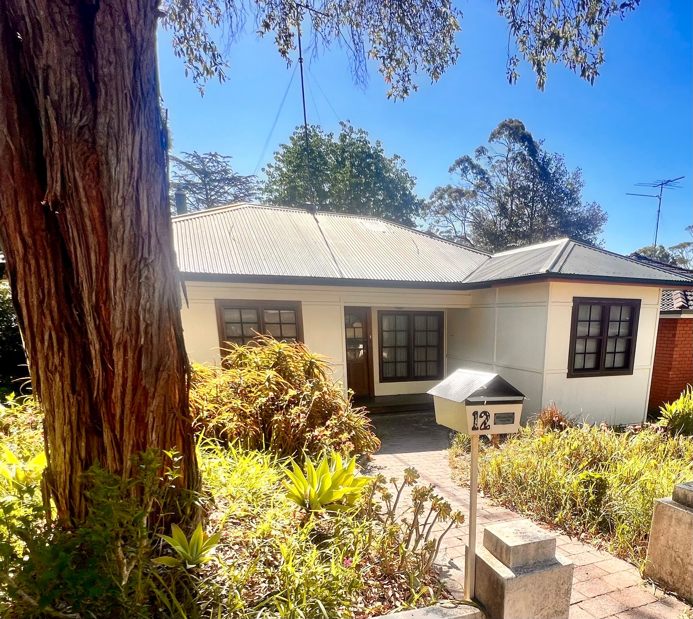 12 David Street, Glenbrook, NSW 2773