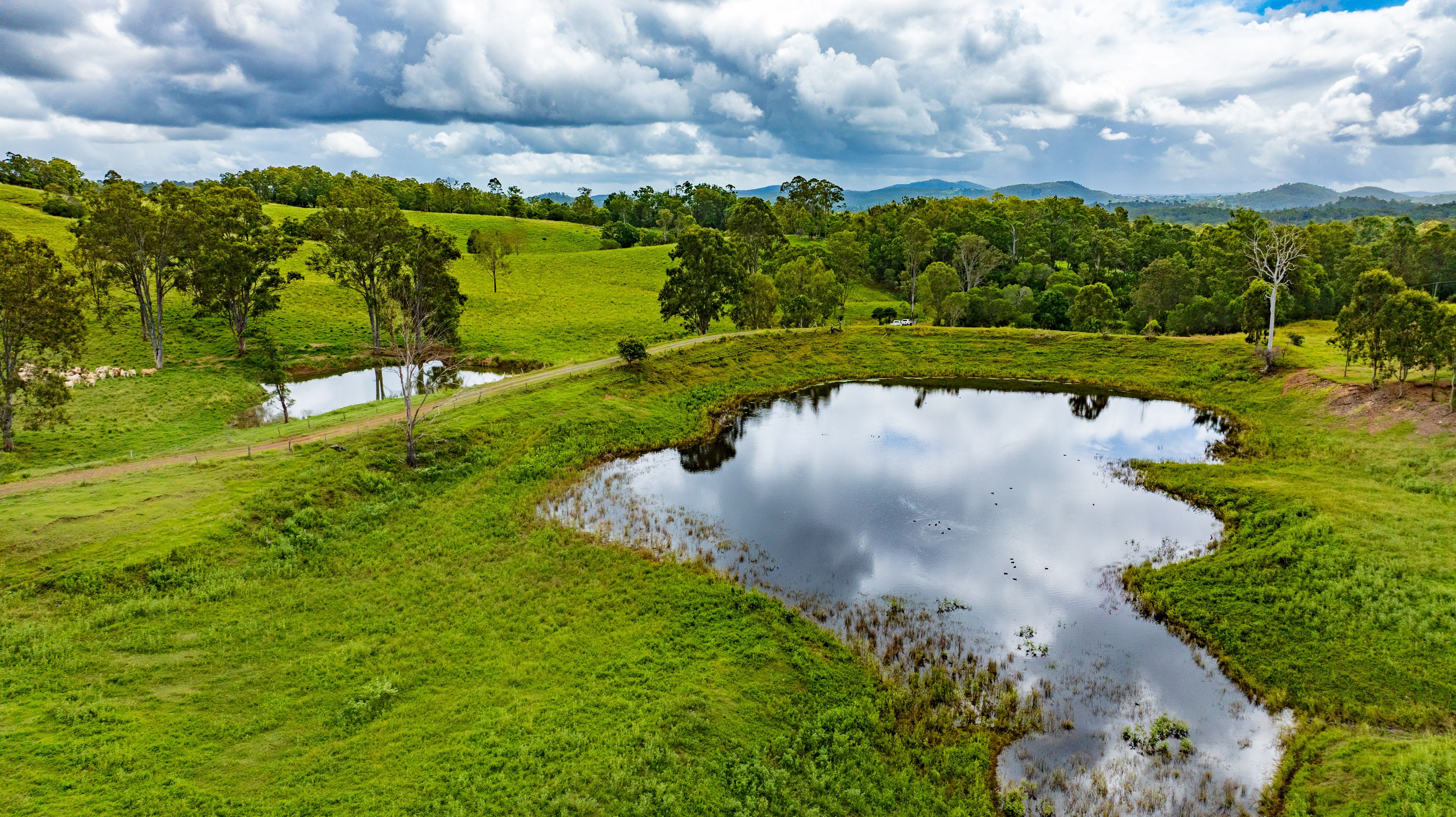 547 Rocks Road, Pie Creek, QLD 4570 Rural Property for Sale Ray White Pomona Hinterland