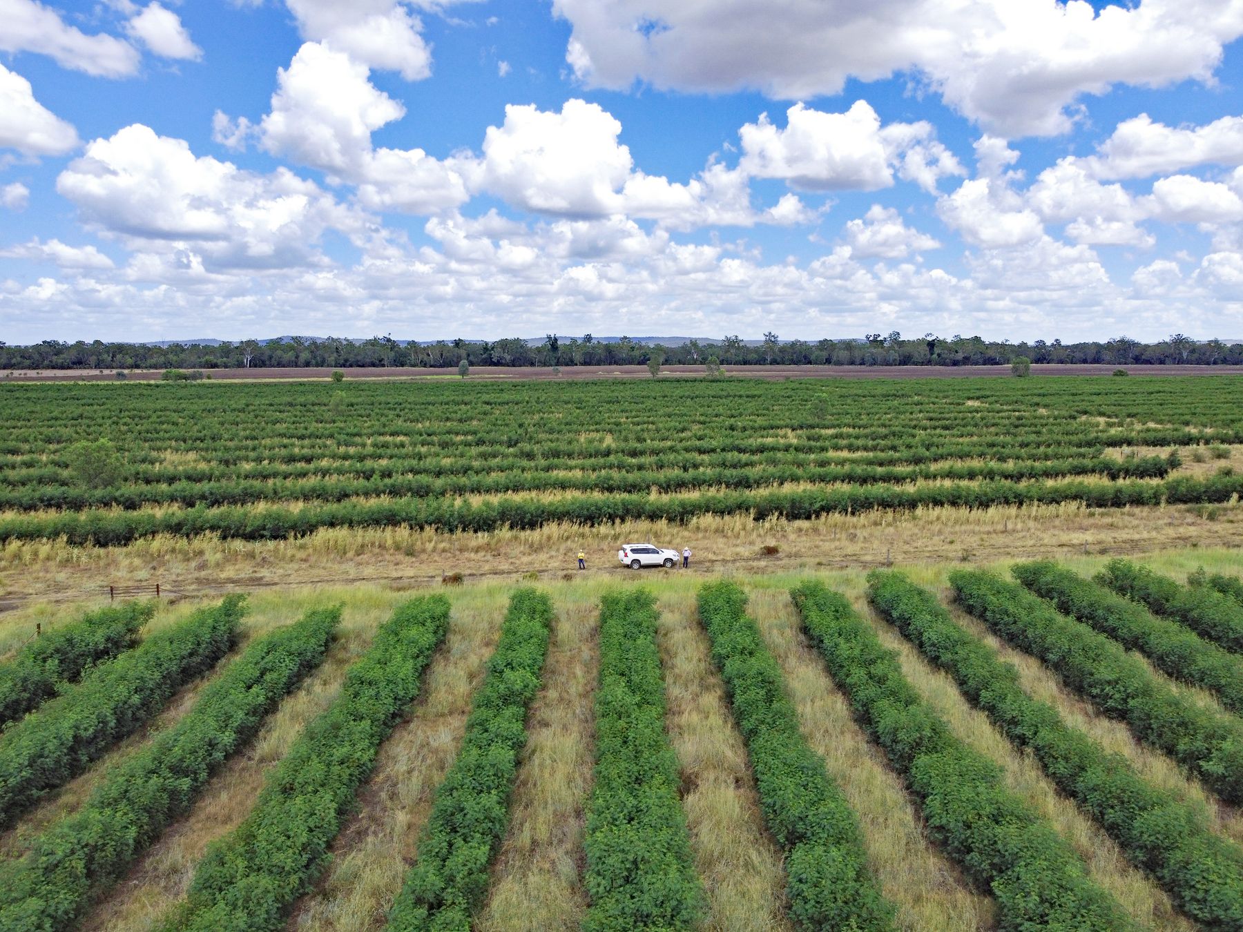 43931 Highway, Jambin, QLD 4702 Sold Rural Mixed Farming