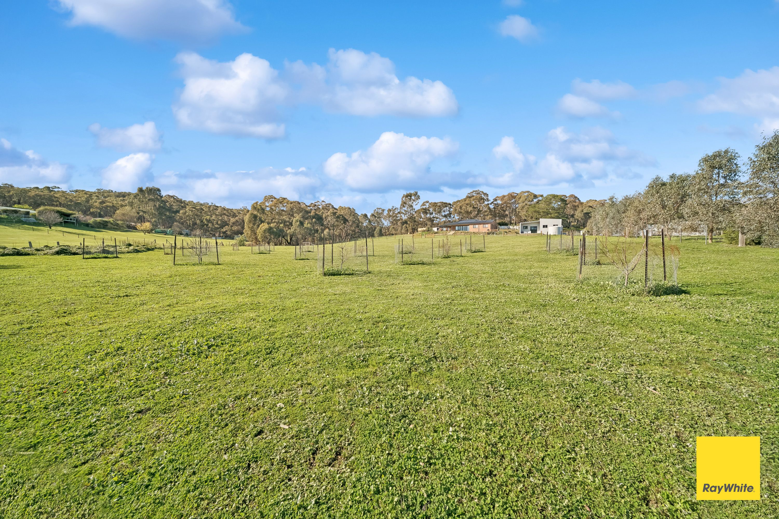 63 Specimen Gully Road — photo 29 of 30