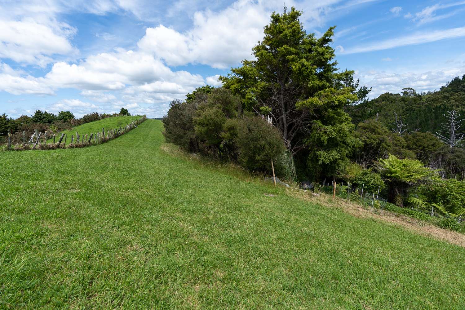 1313 Ngunguru Road photo 24