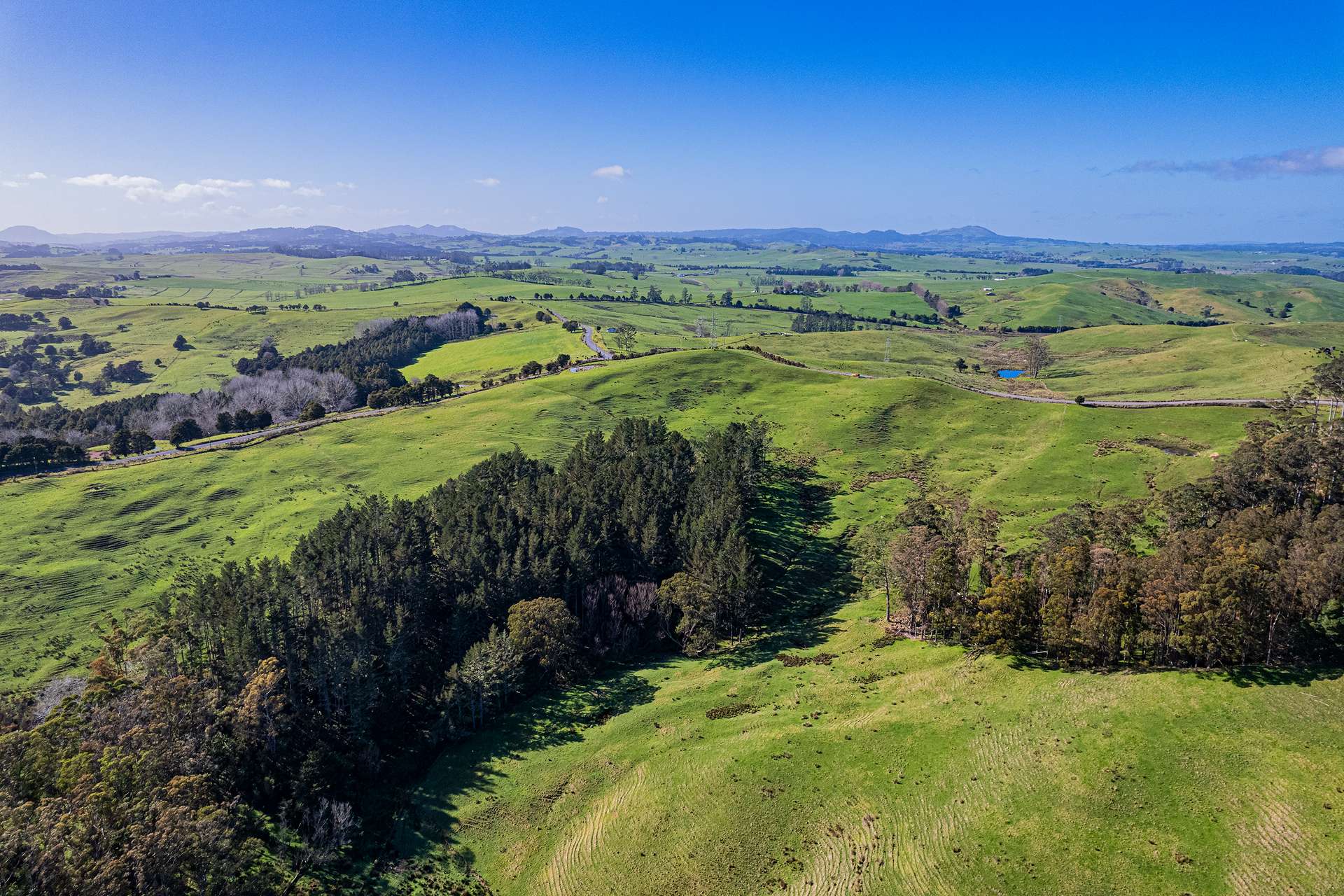 0 Cnr Milne and Aponga Stream Road photo 15