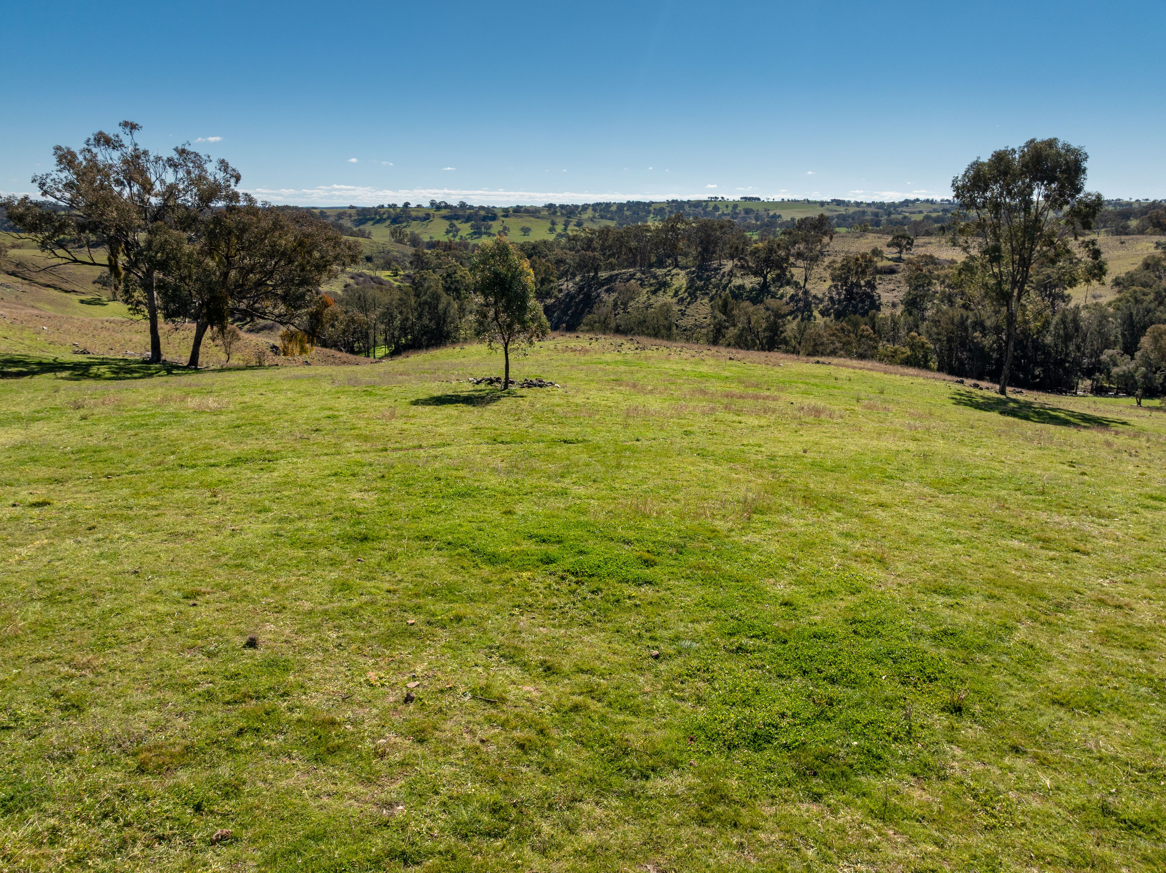 'Wahroonga' 2235 The Escort Way — photo 4 of 19