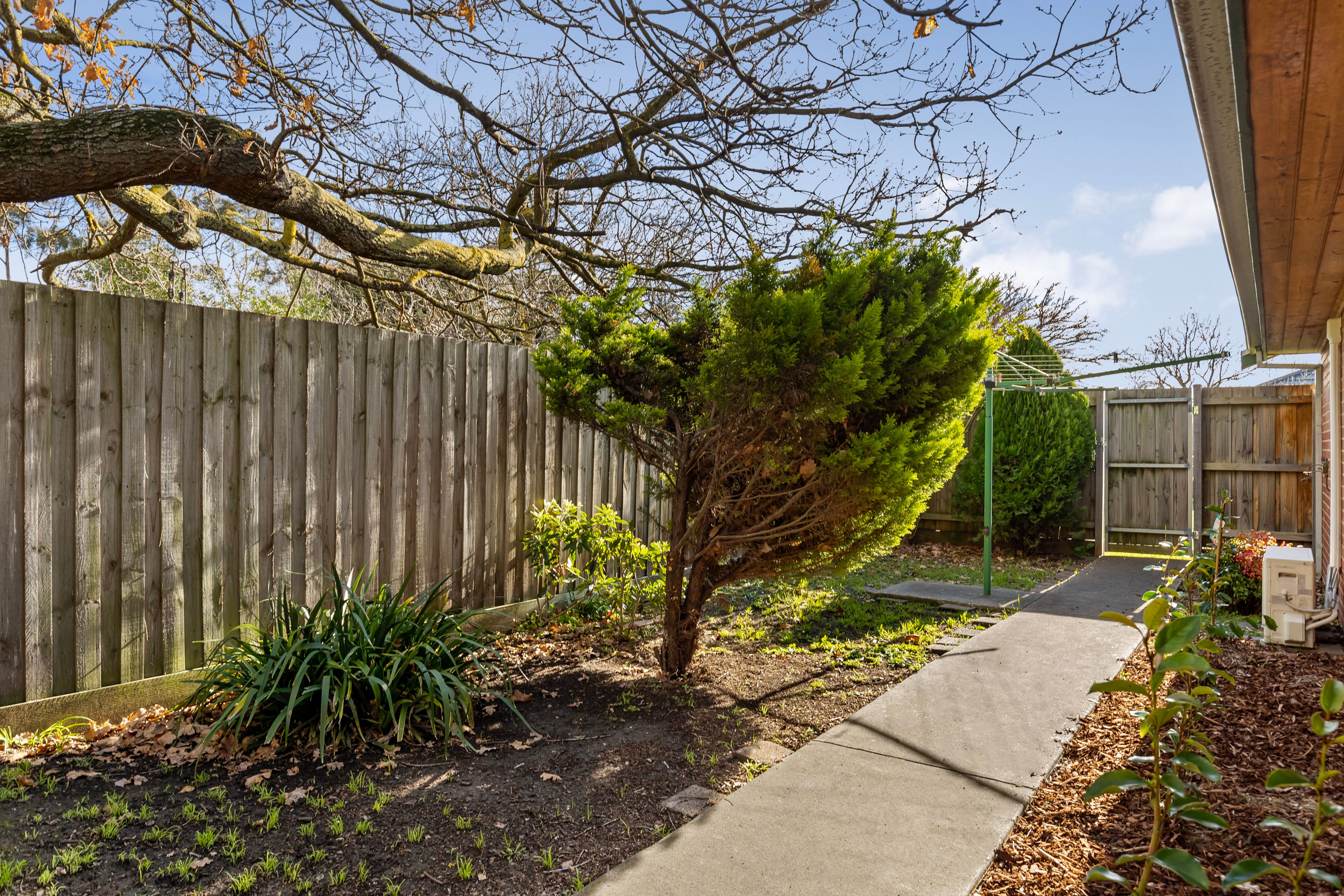 3/56-58 Main Road — photo 11 of 15