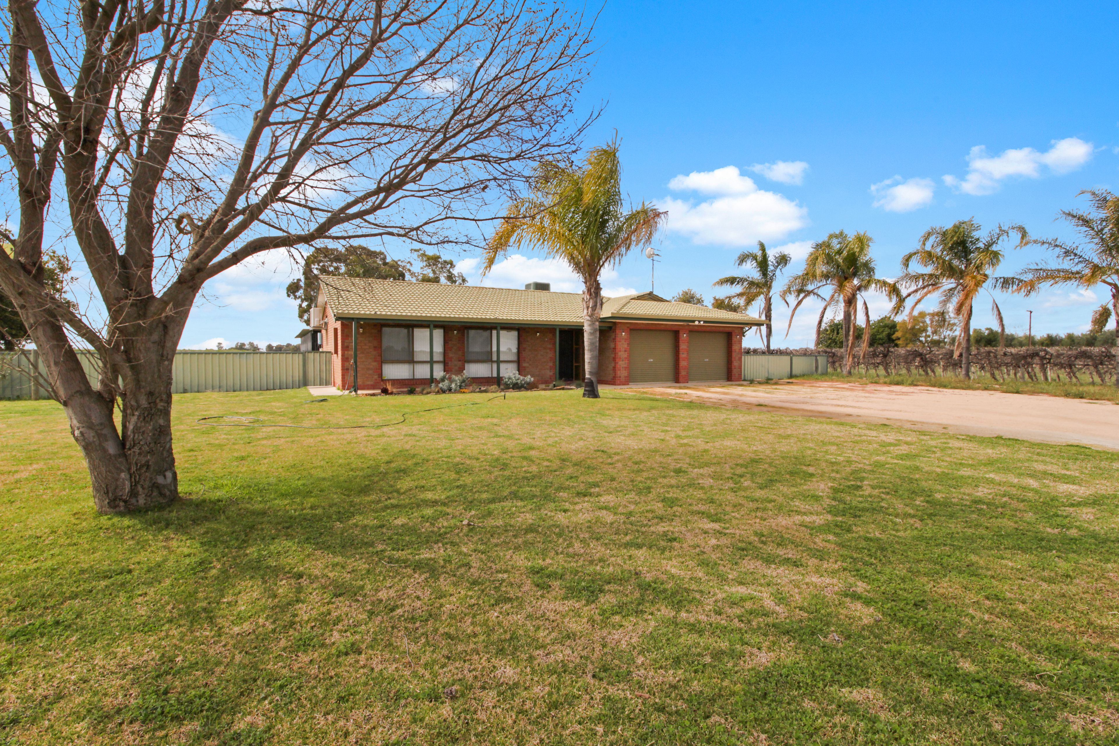 169 Twentyseventh Street, Renmark SA 5341