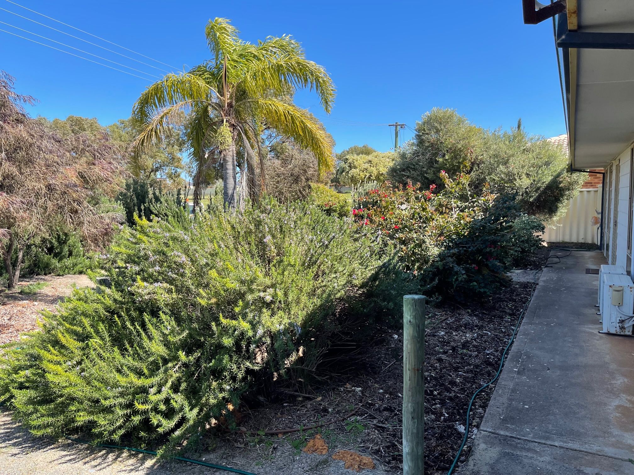 6 Canny Place, Port Denison, WA 6525
