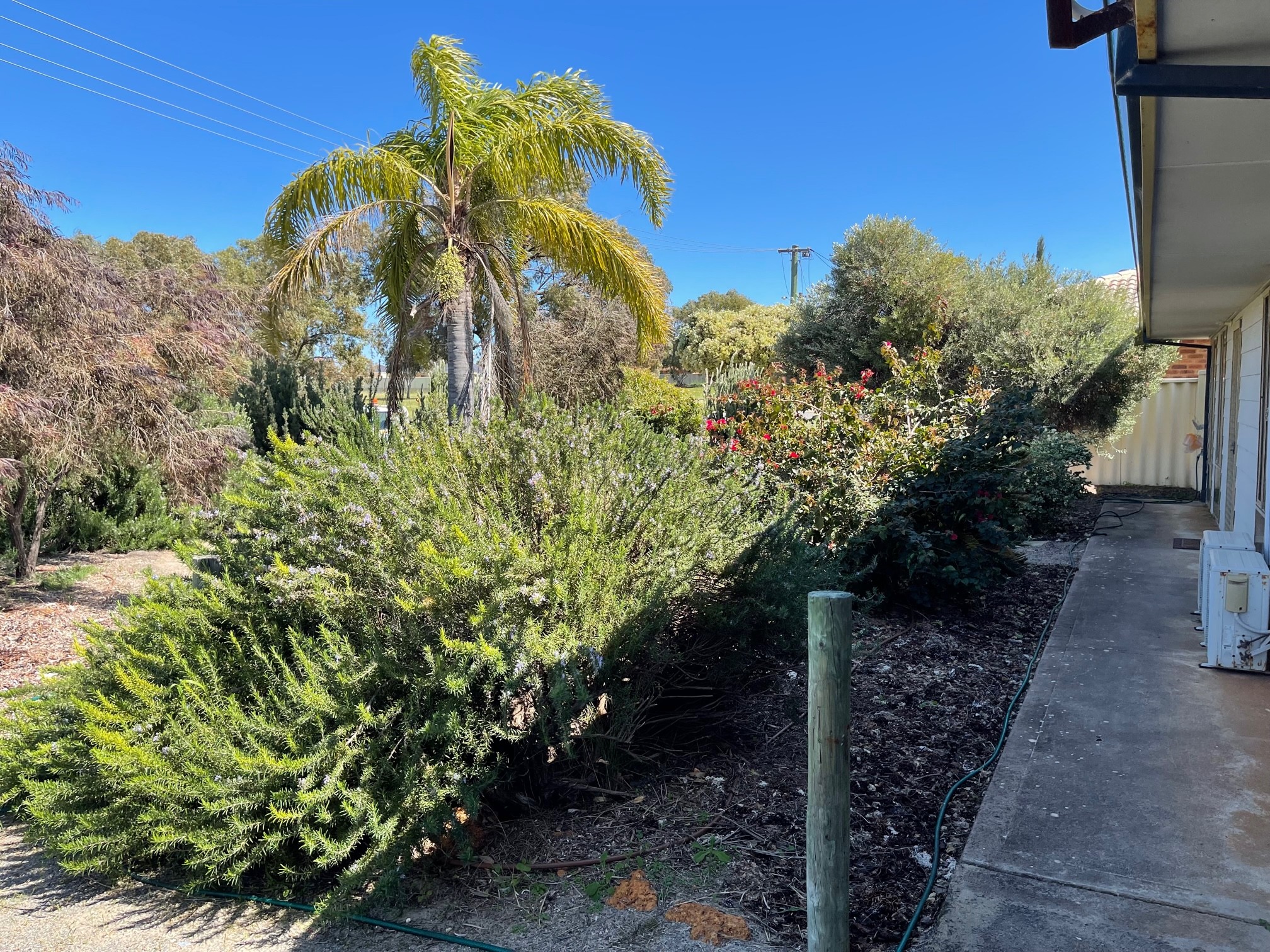 6 Canny Place, Port Denison, WA 6525