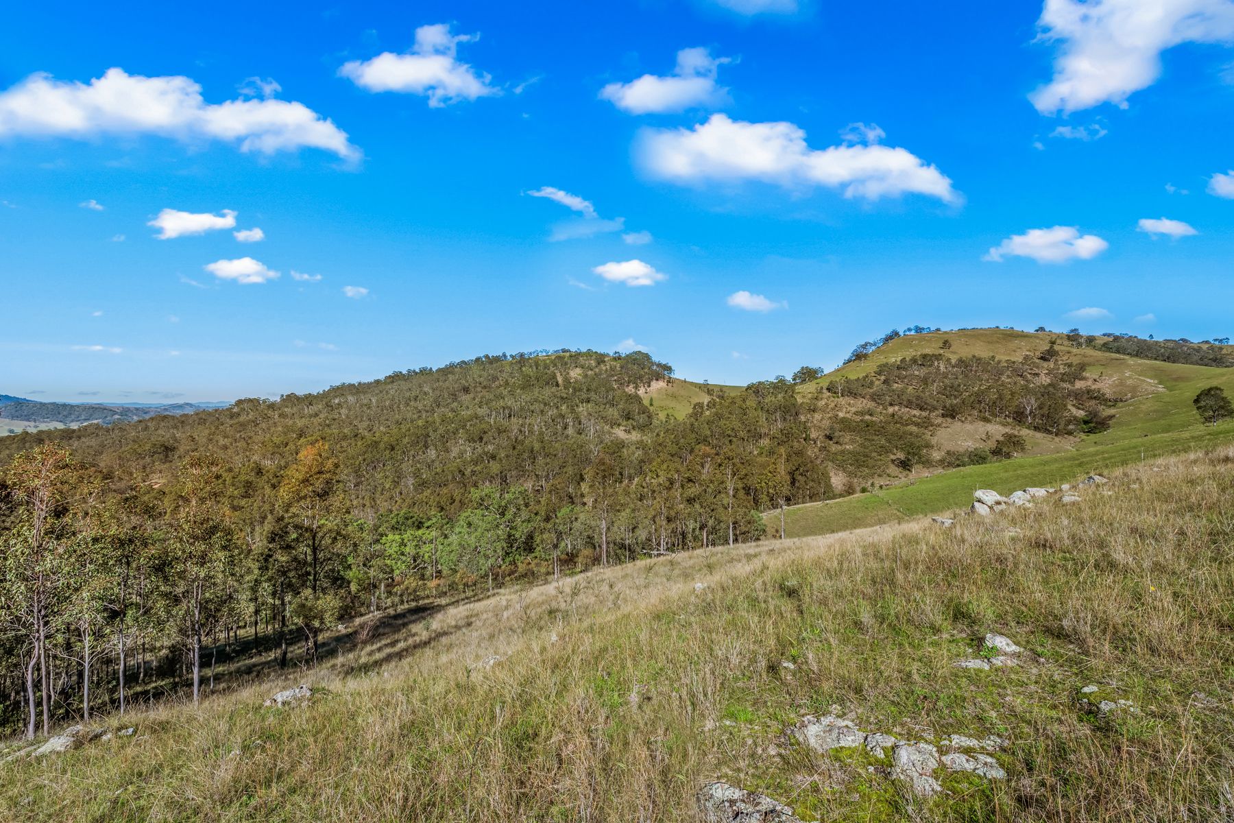 Off Goorangoola Road Greenlands — photo 4 of 19