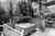 8 Waiorakei Way photo 65