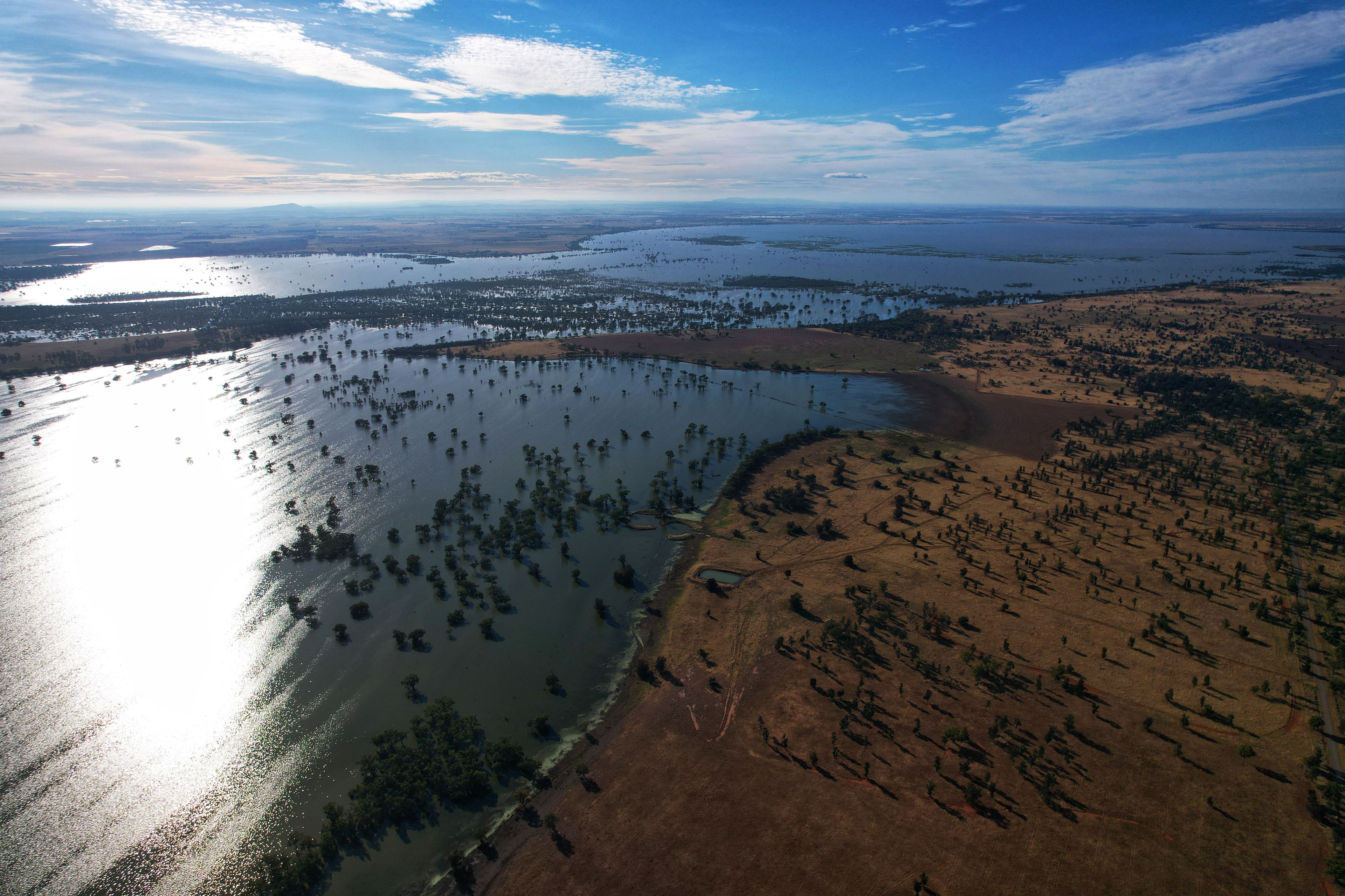 "Wamboyne Racecourse" 1872 Lake Cowal Road, West Wyalong, NSW 2671