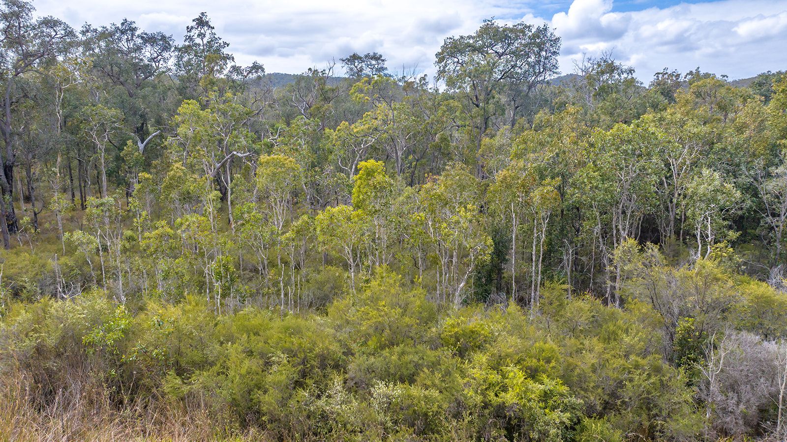 Lot 21 Baldaw Road — photo 9 of 13