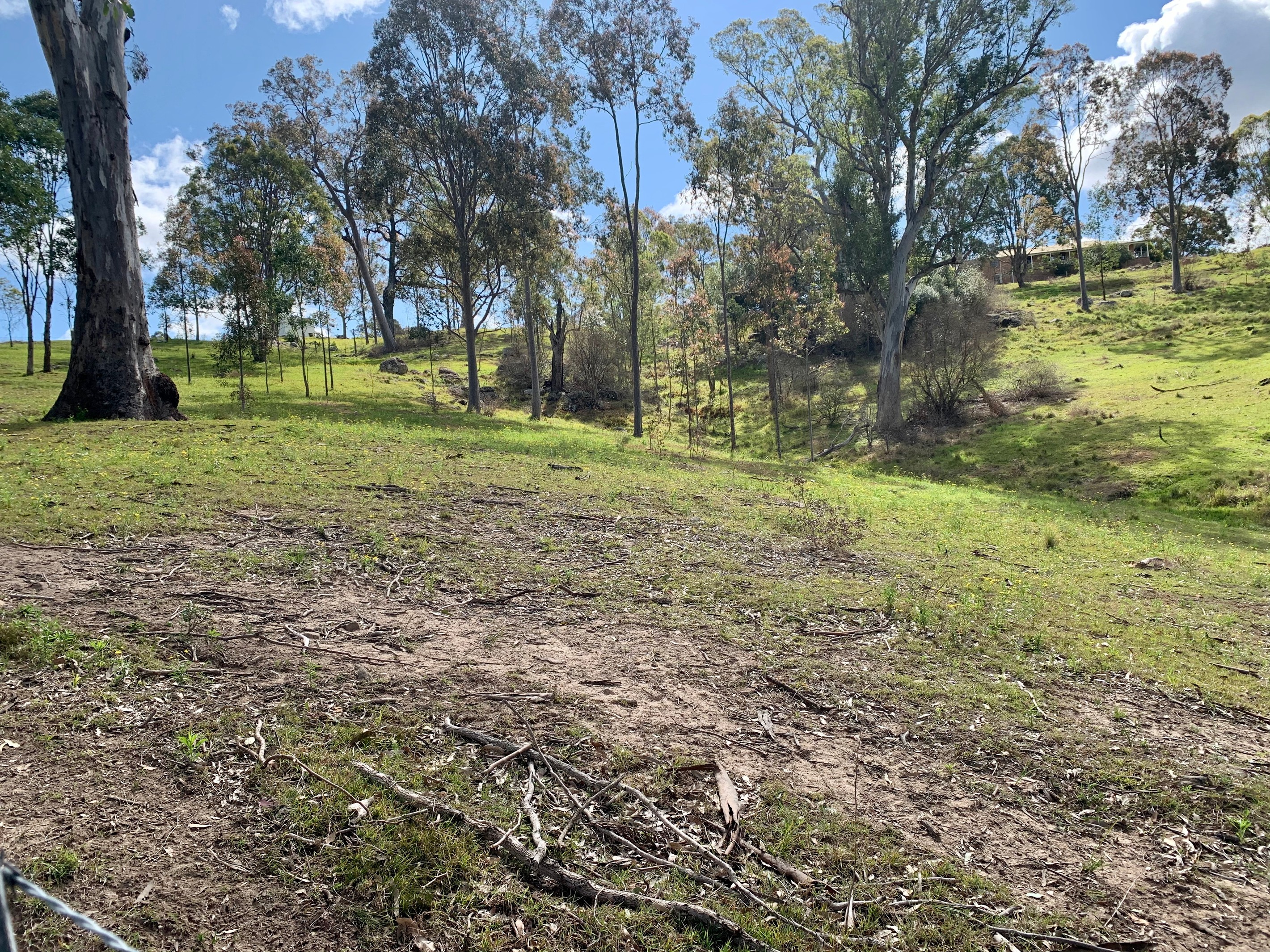 Lot 25 Wade Street, Dungog, NSW 2420