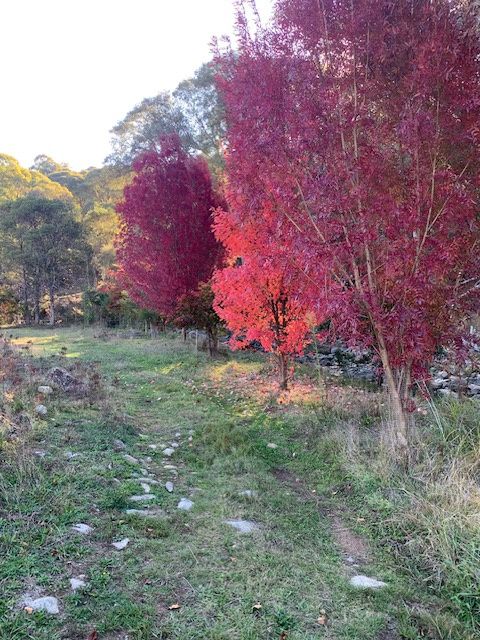 Part 1420 Goobarragandra Road — photo 10 of 11