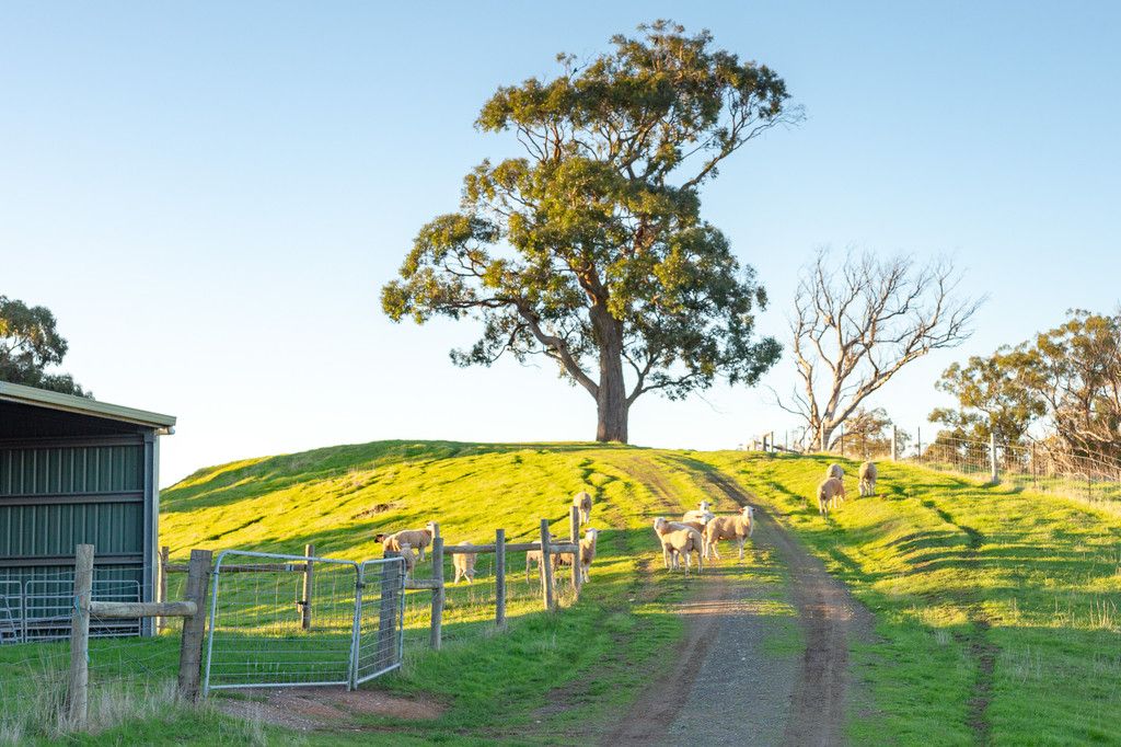 123 O'Dea Road, KENTON VALLEY, SA 5233