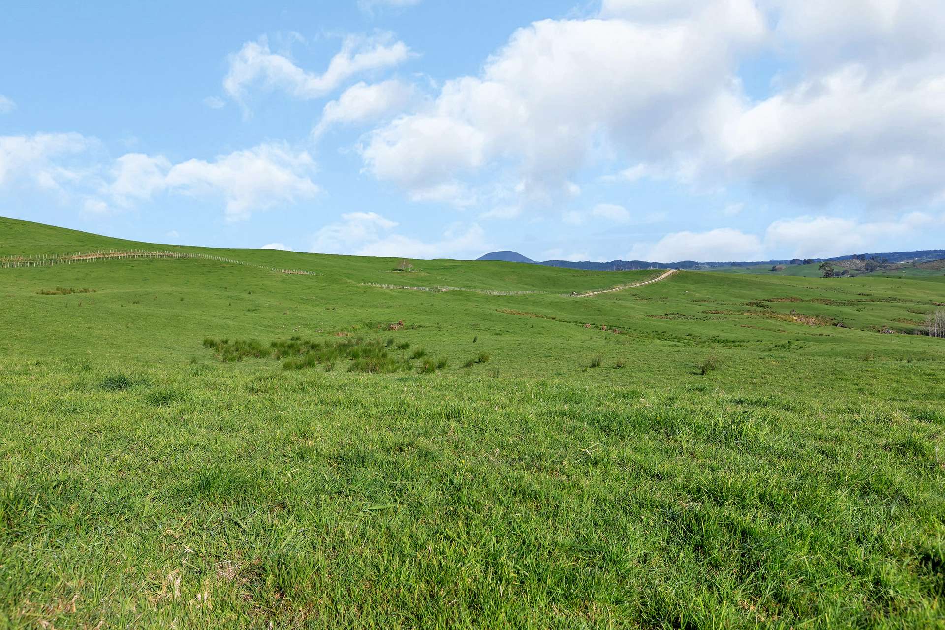 193 Maungakaramea Road photo 7