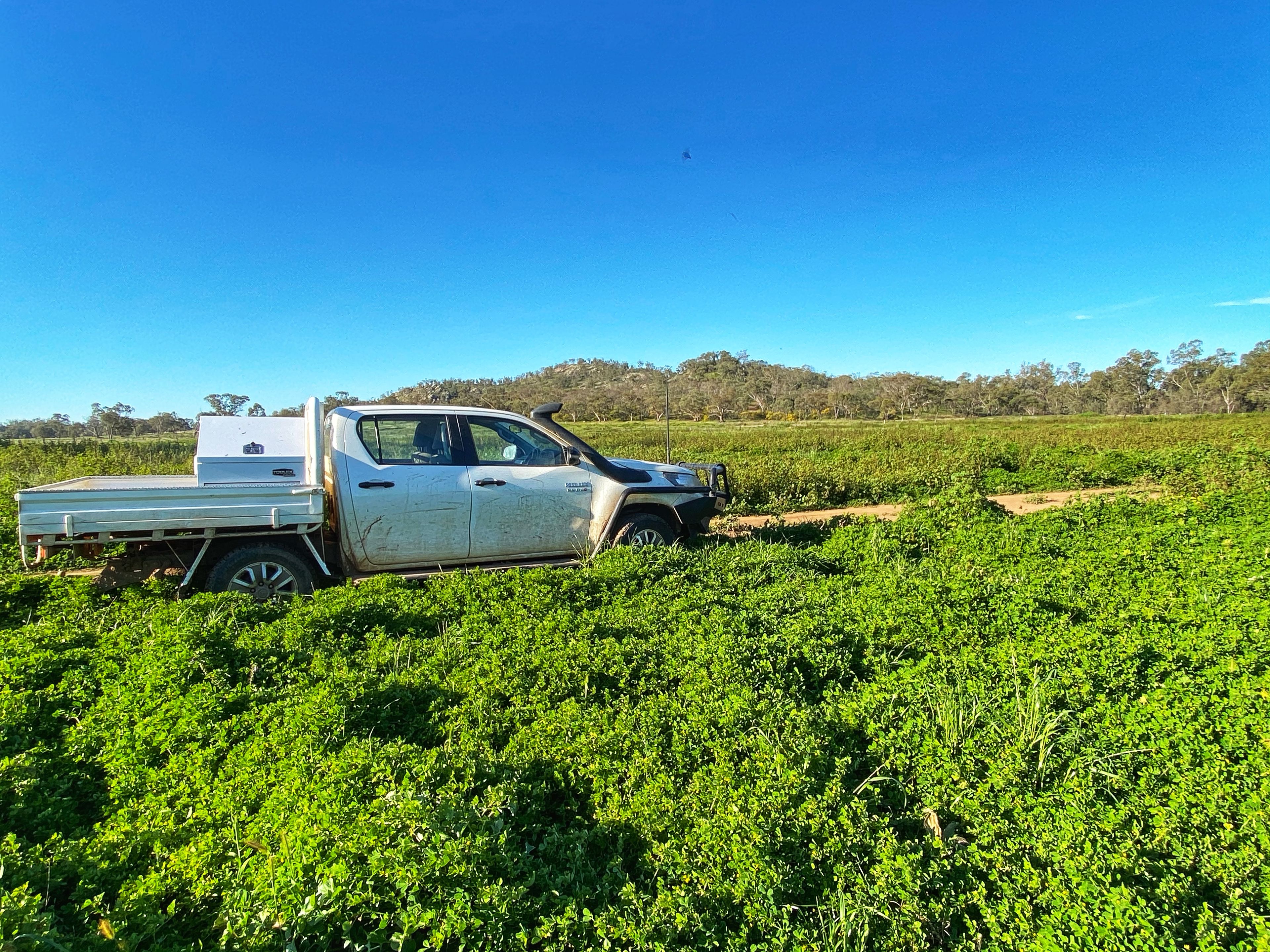 Killara 6921 Lachlan Valley Way, CONDOBOLIN, NSW 2877