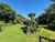 13B David Street photo 18