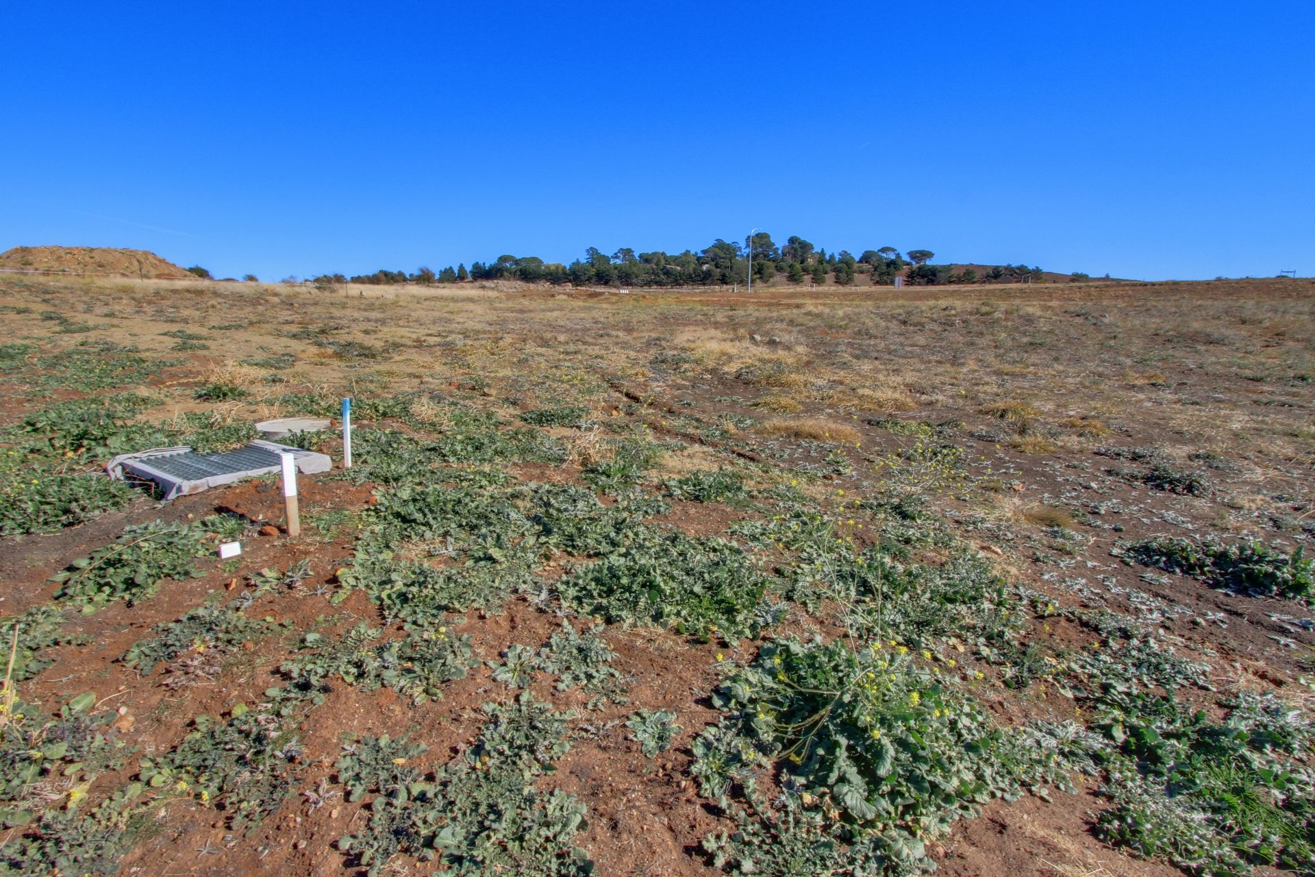 11 Ibis Road, GOULBURN, NSW 2580