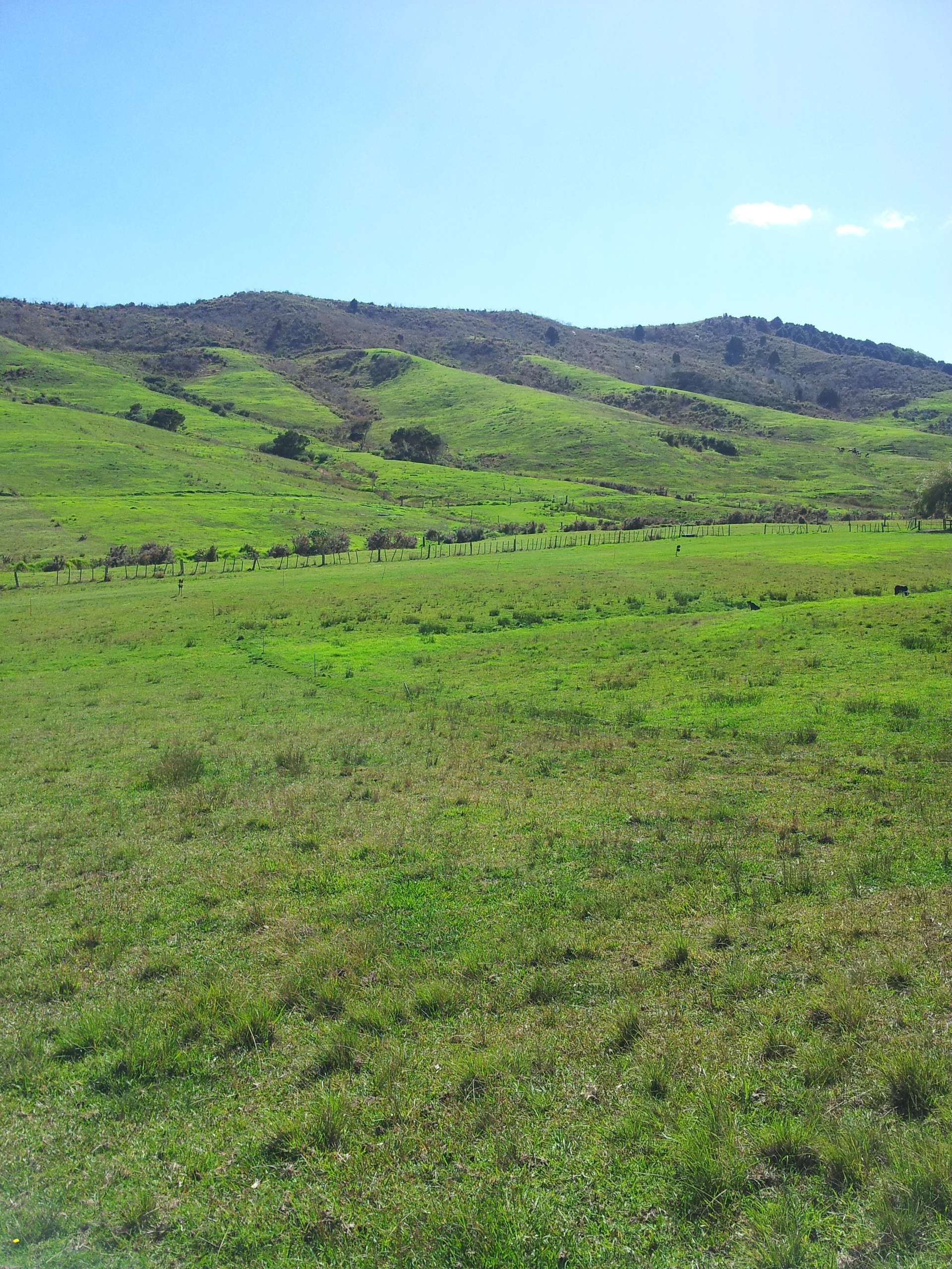 Lot 4 Subdivision of 36 Te Moho Road photo 7