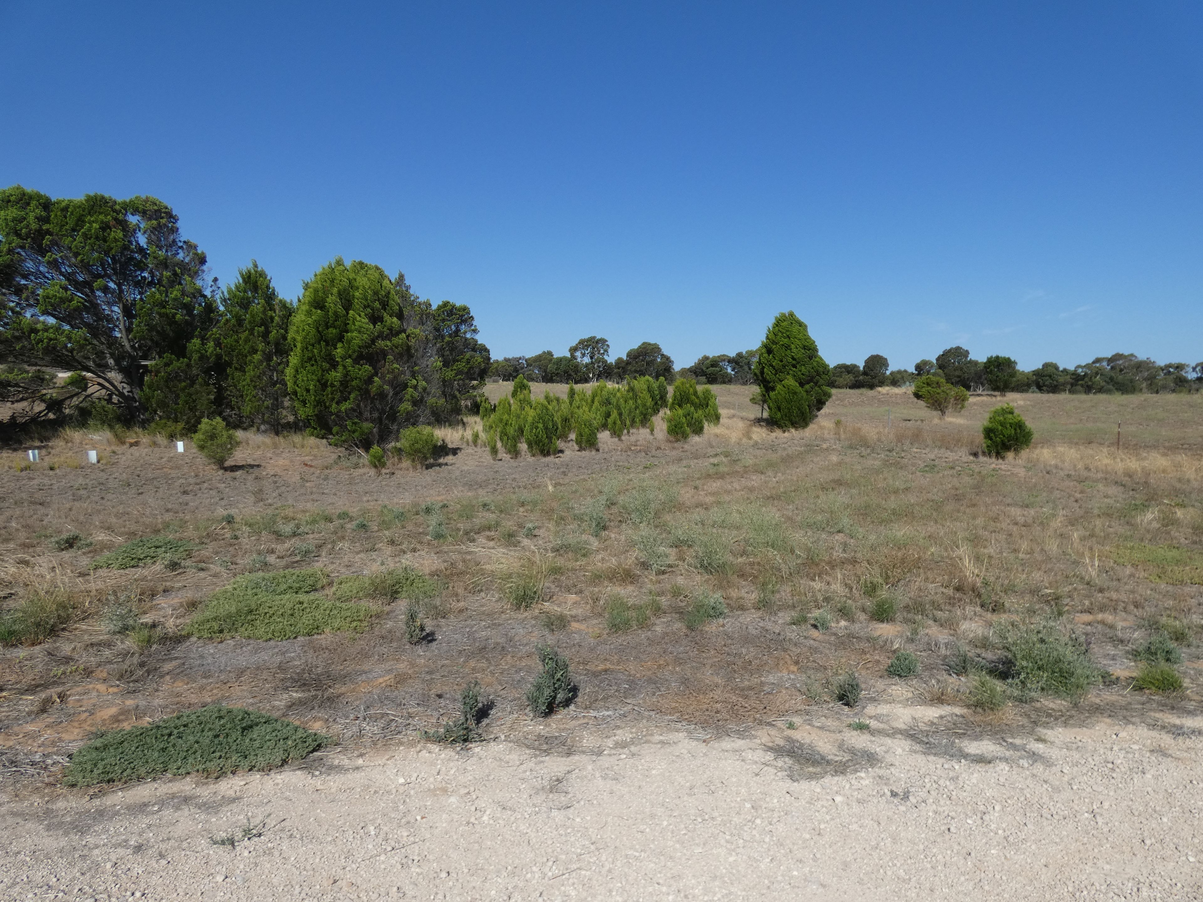 Lot 961 Weber Drive, Wellington East, SA 5259