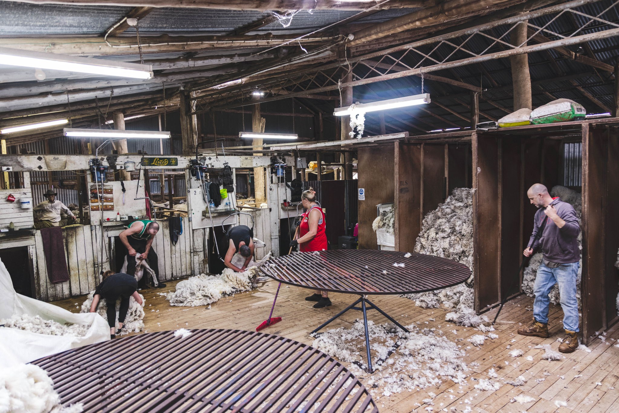 1482 Back Creek Road, Kingsvale (Via), Young, NSW 2594